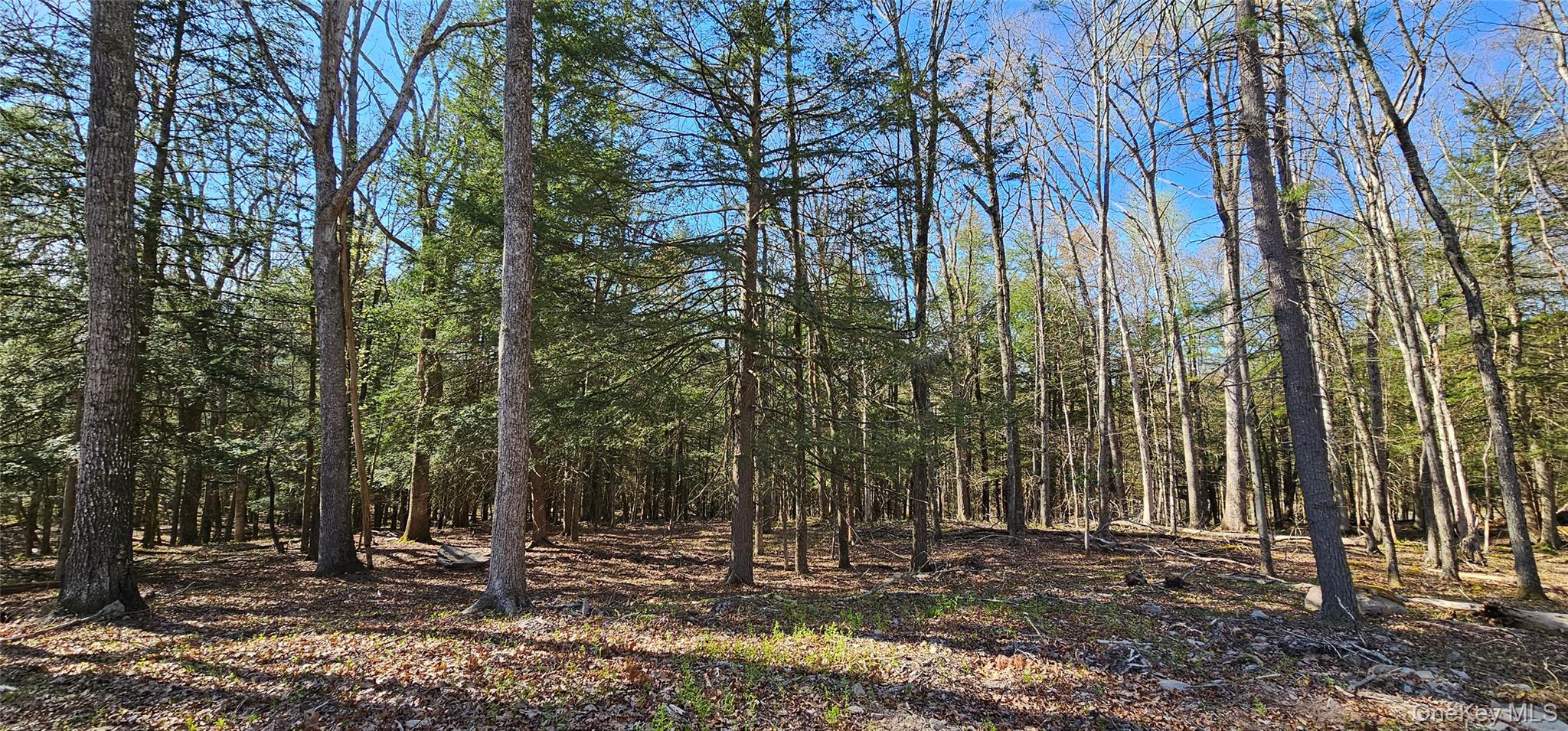 Lot 85 Perry Pond Road, Narrowsburg, NY 12764