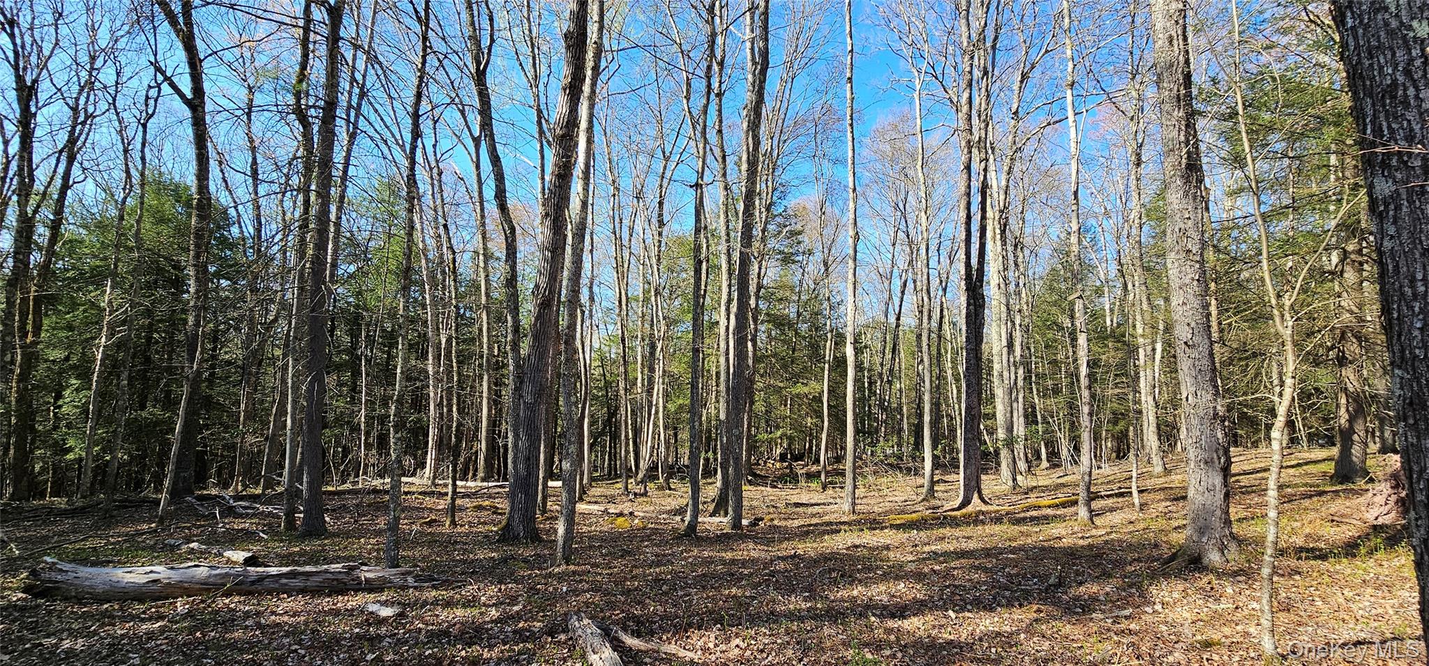 Lot 85 Perry Pond Road, Narrowsburg, NY 12764