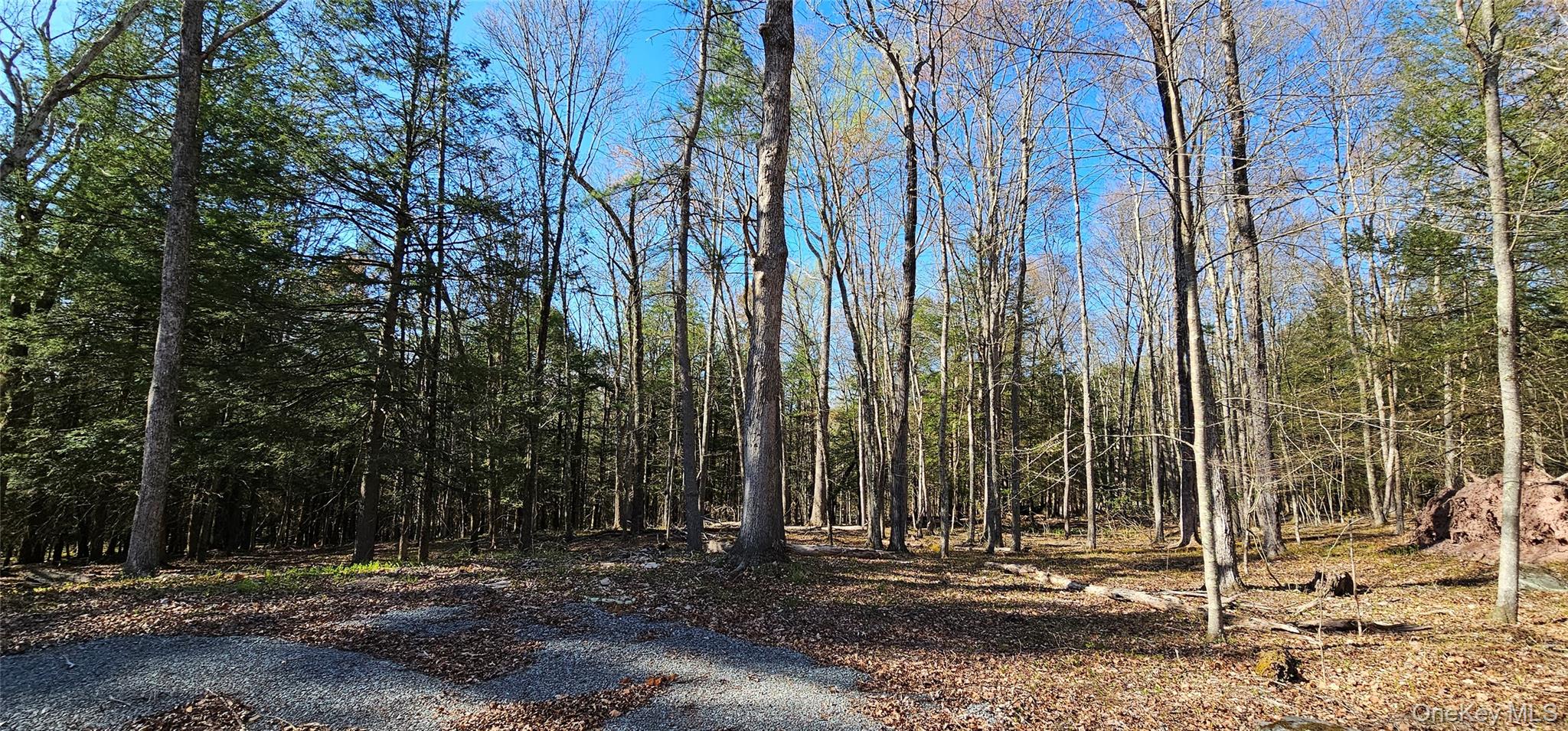 Lot 85 Perry Pond Road, Narrowsburg, NY 12764