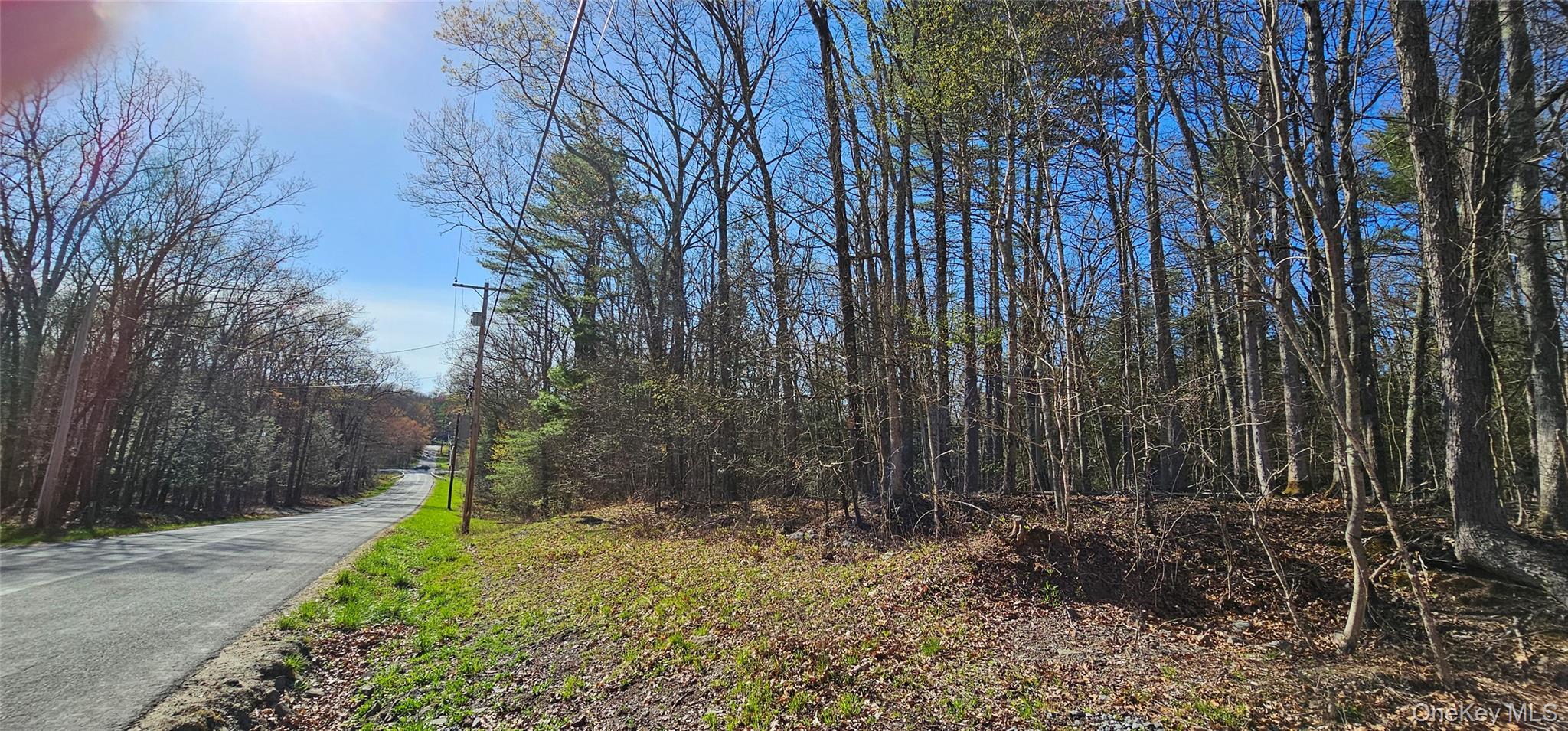 Lot 85 Perry Pond Road, Narrowsburg, NY 12764
