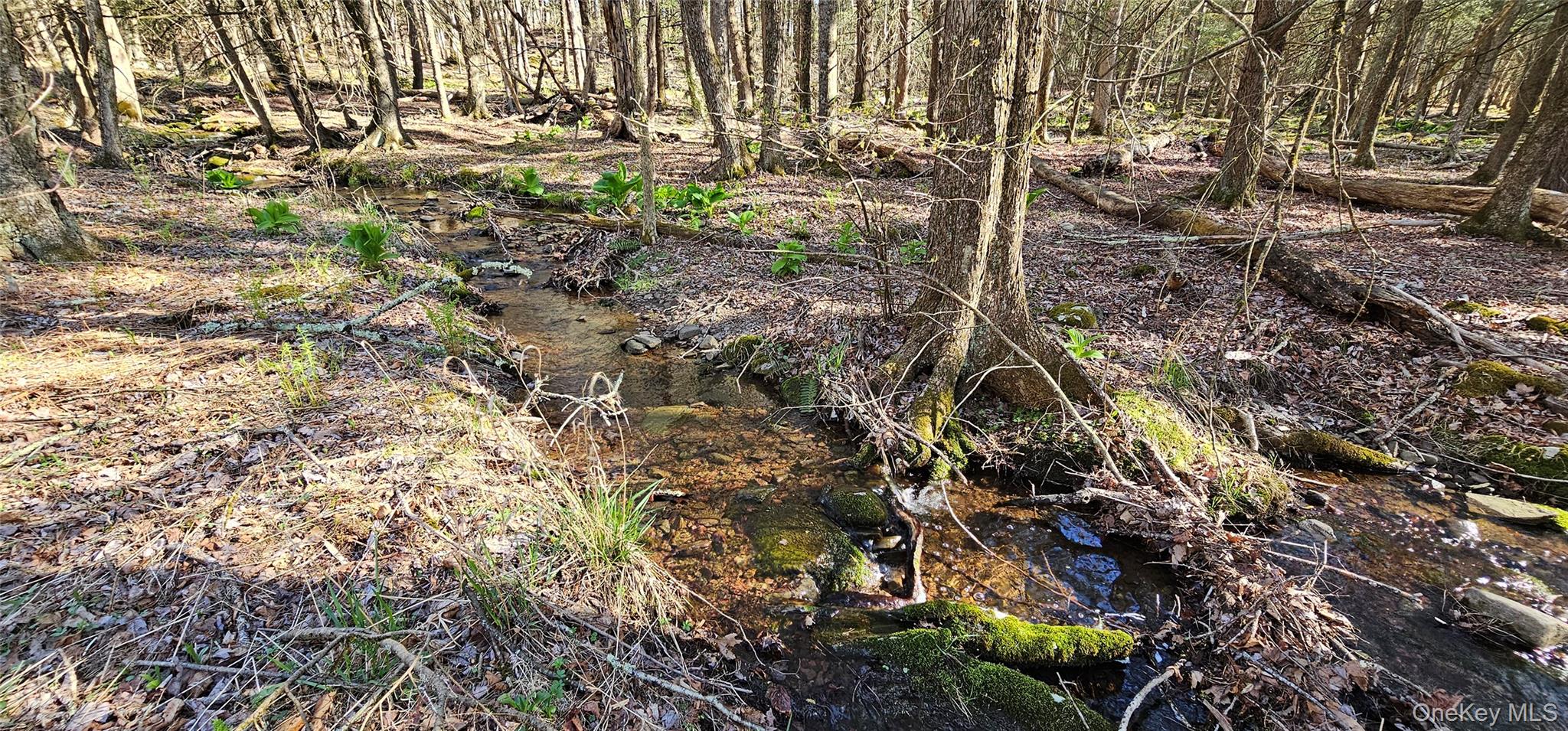 Lot 85 Perry Pond Road, Narrowsburg, NY 12764