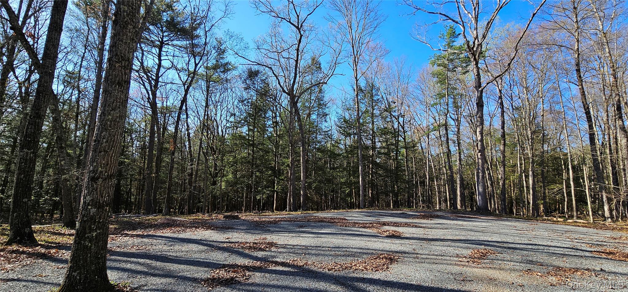 Lot 85 Perry Pond Road, Narrowsburg, NY 12764