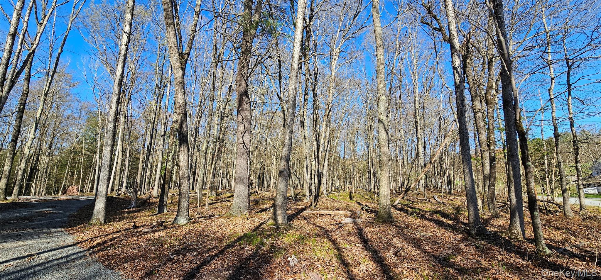 Lot 85 Perry Pond Road, Narrowsburg, NY 12764