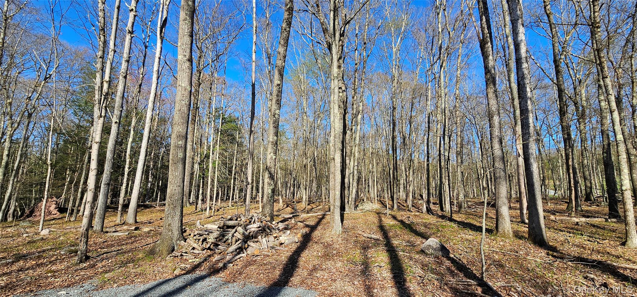 Lot 85 Perry Pond Road, Narrowsburg, NY 12764