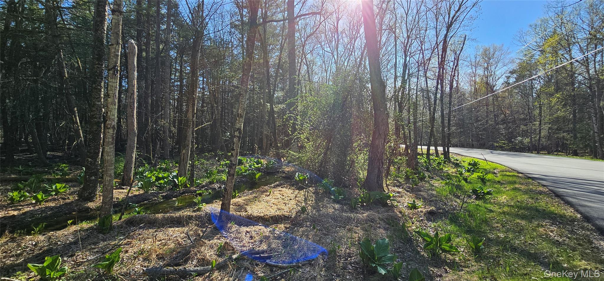 Lot 85 Perry Pond Road, Narrowsburg, NY 12764