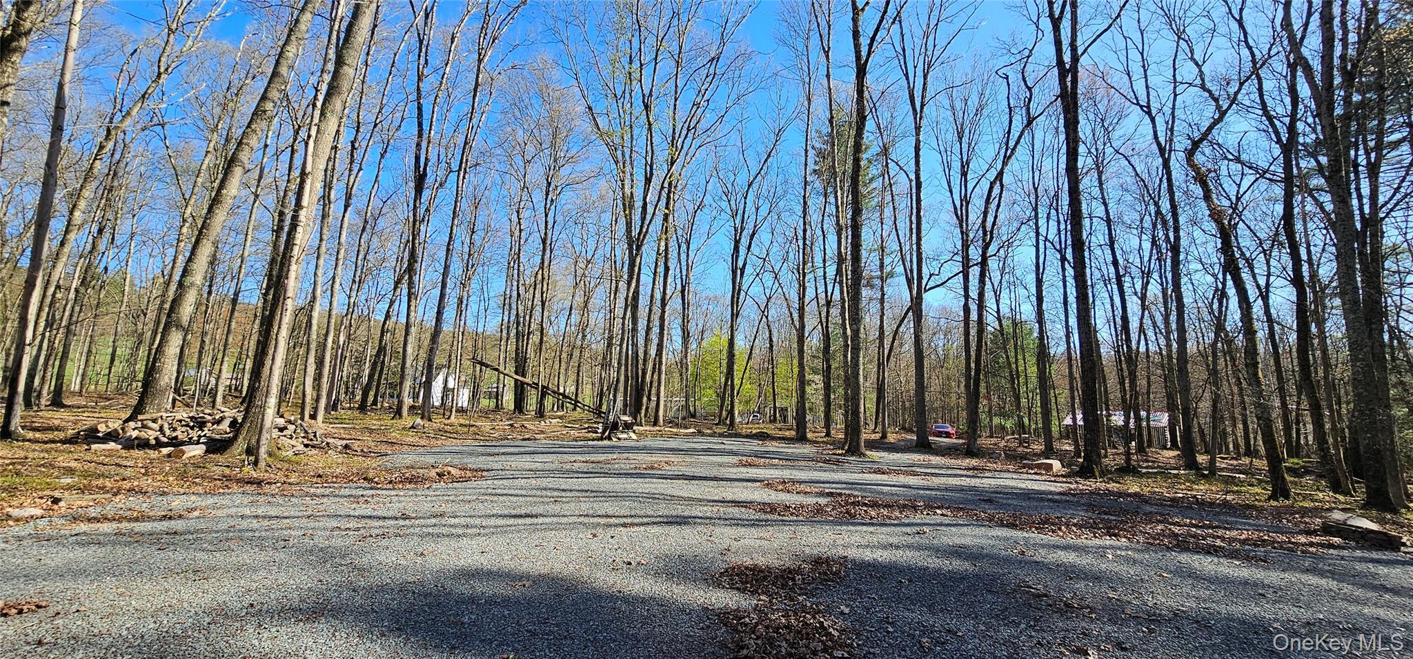 Lot 85 Perry Pond Road, Narrowsburg, NY 12764