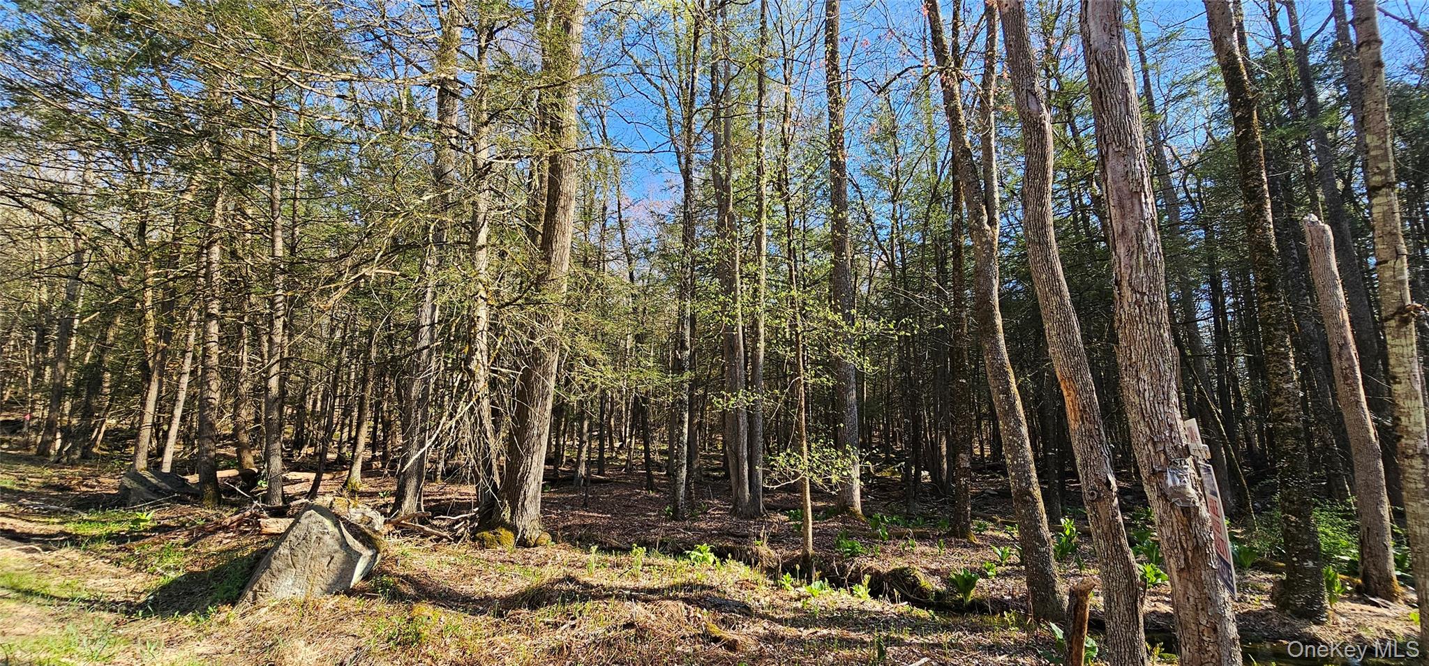 Lot 85 Perry Pond Road, Narrowsburg, NY 12764