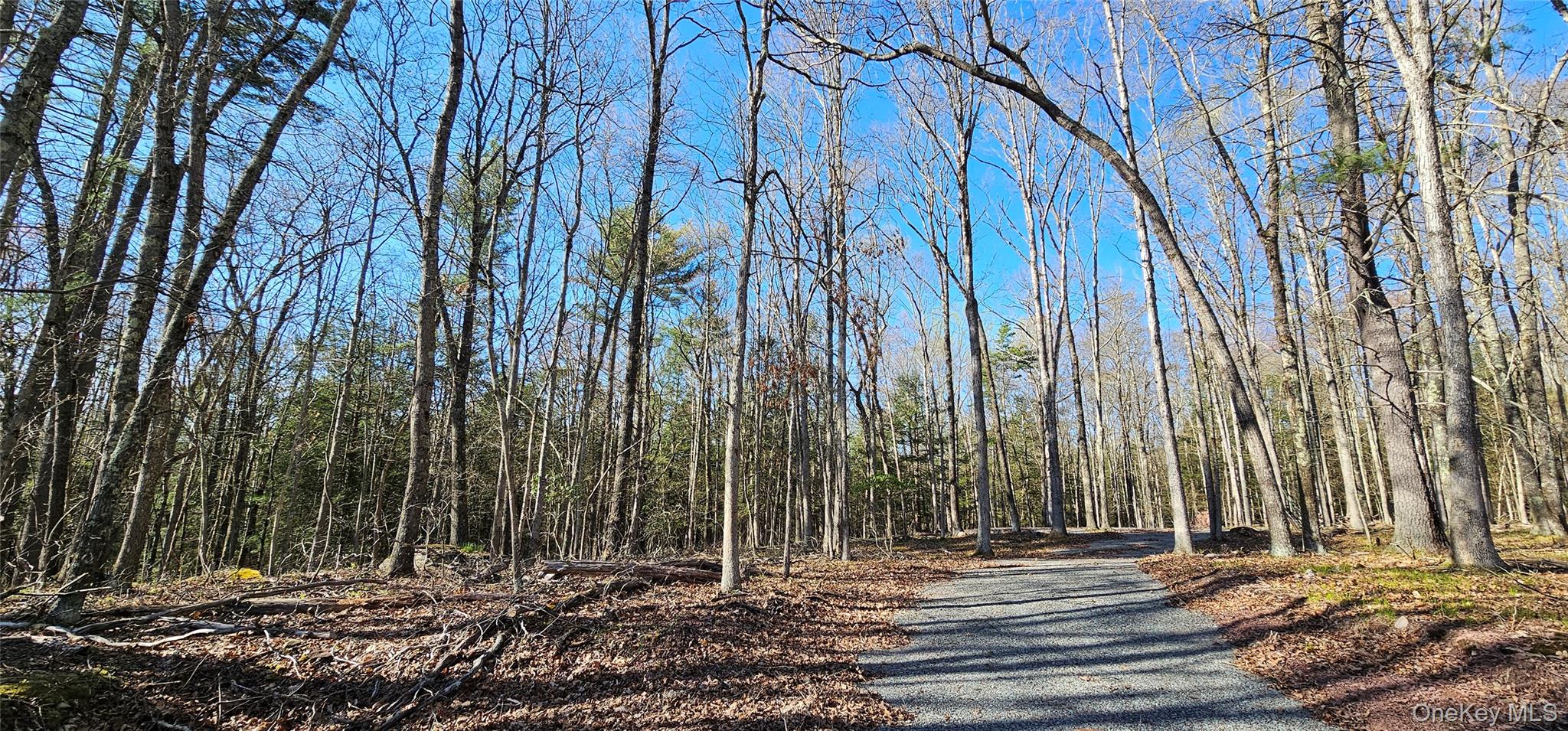 Lot 85 Perry Pond Road, Narrowsburg, NY 12764