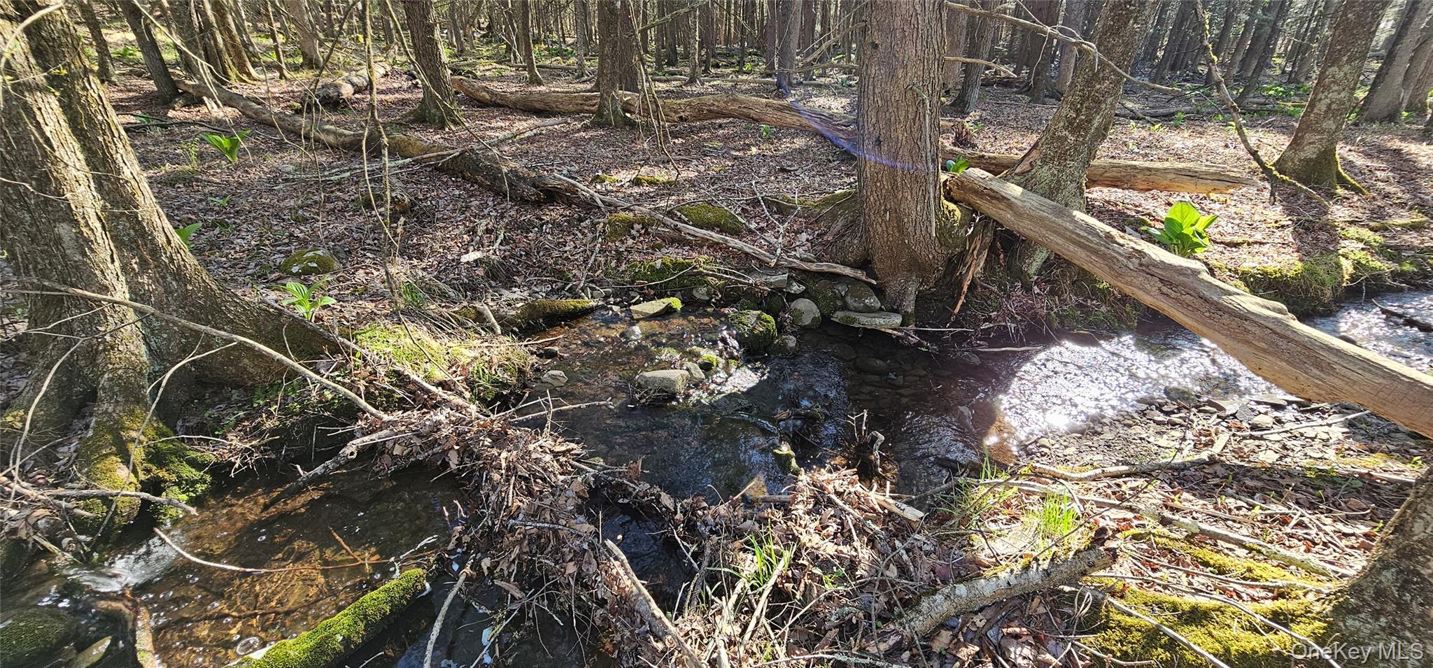 Lot 85 Perry Pond Road, Narrowsburg, NY 12764