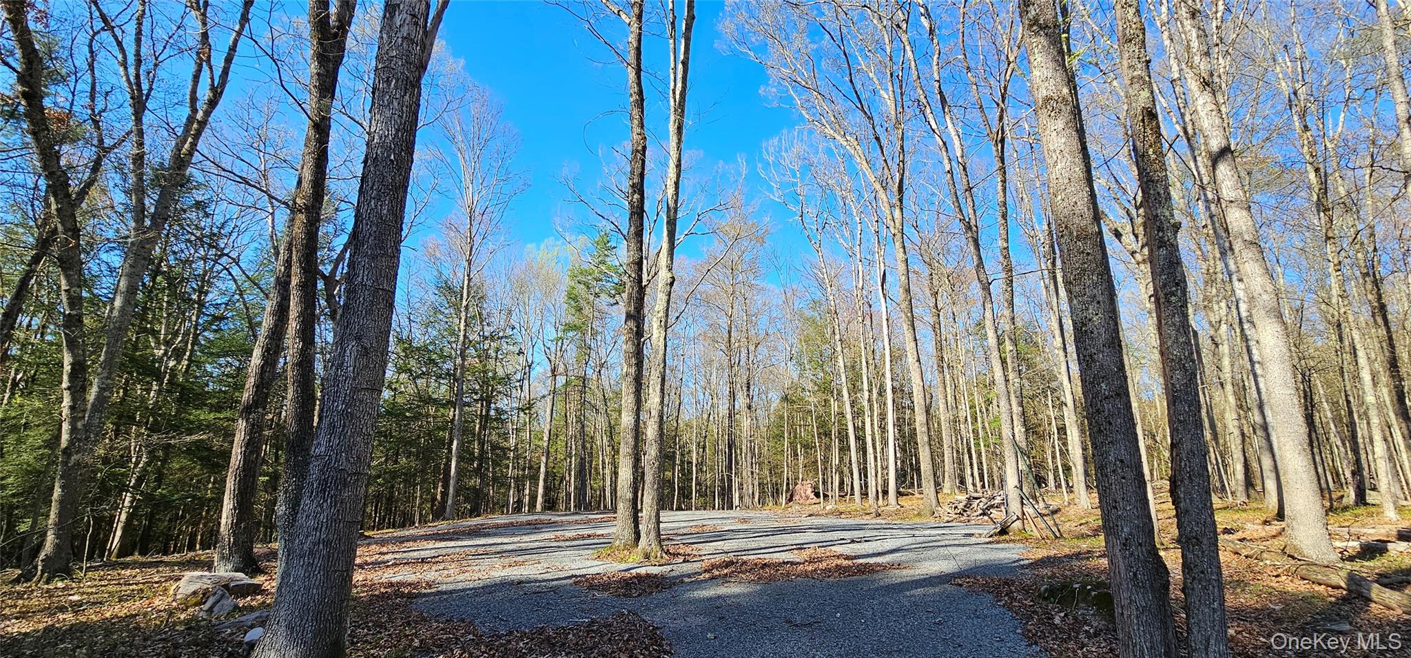 Lot 85 Perry Pond Road, Narrowsburg, NY 12764