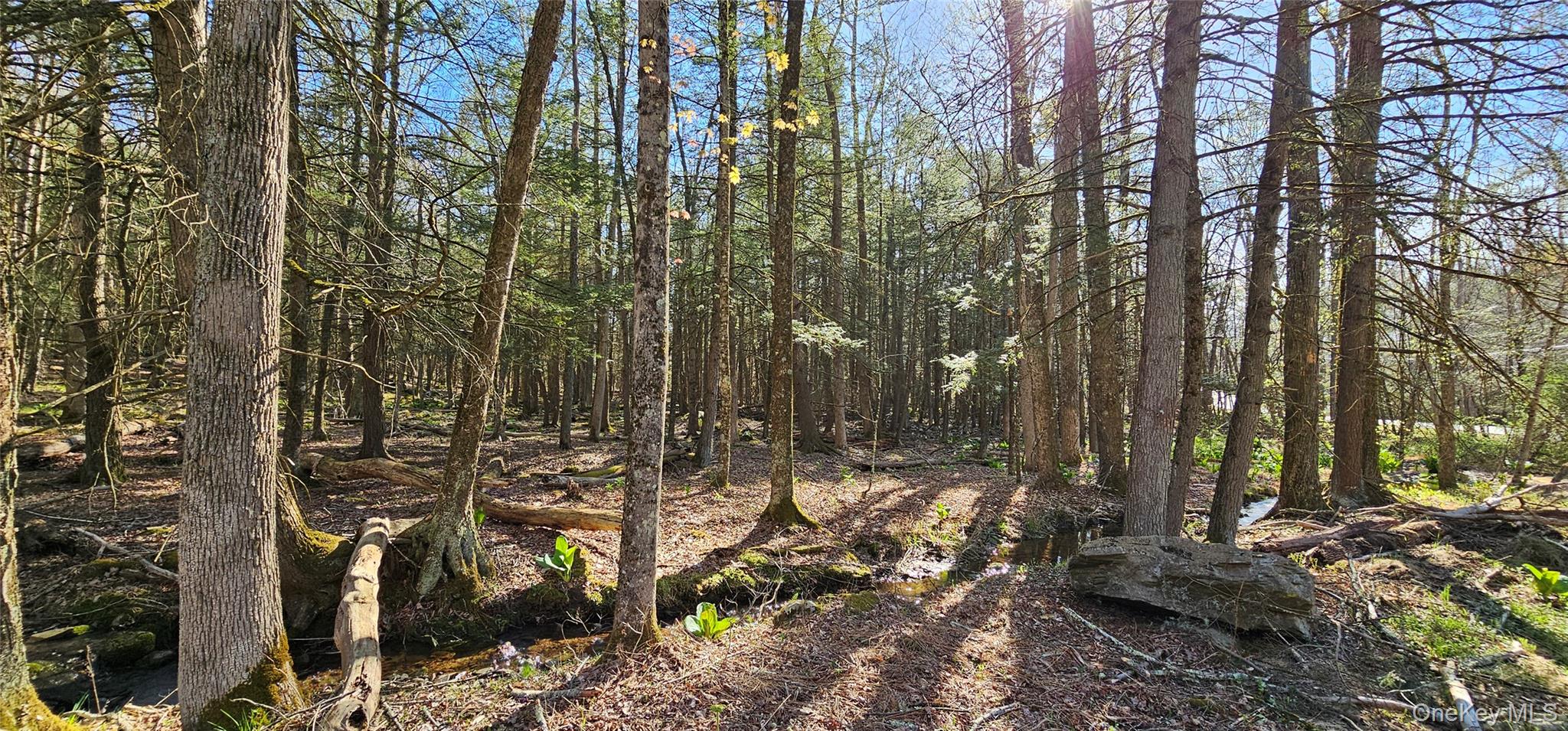 Lot 85 Perry Pond Road, Narrowsburg, NY 12764