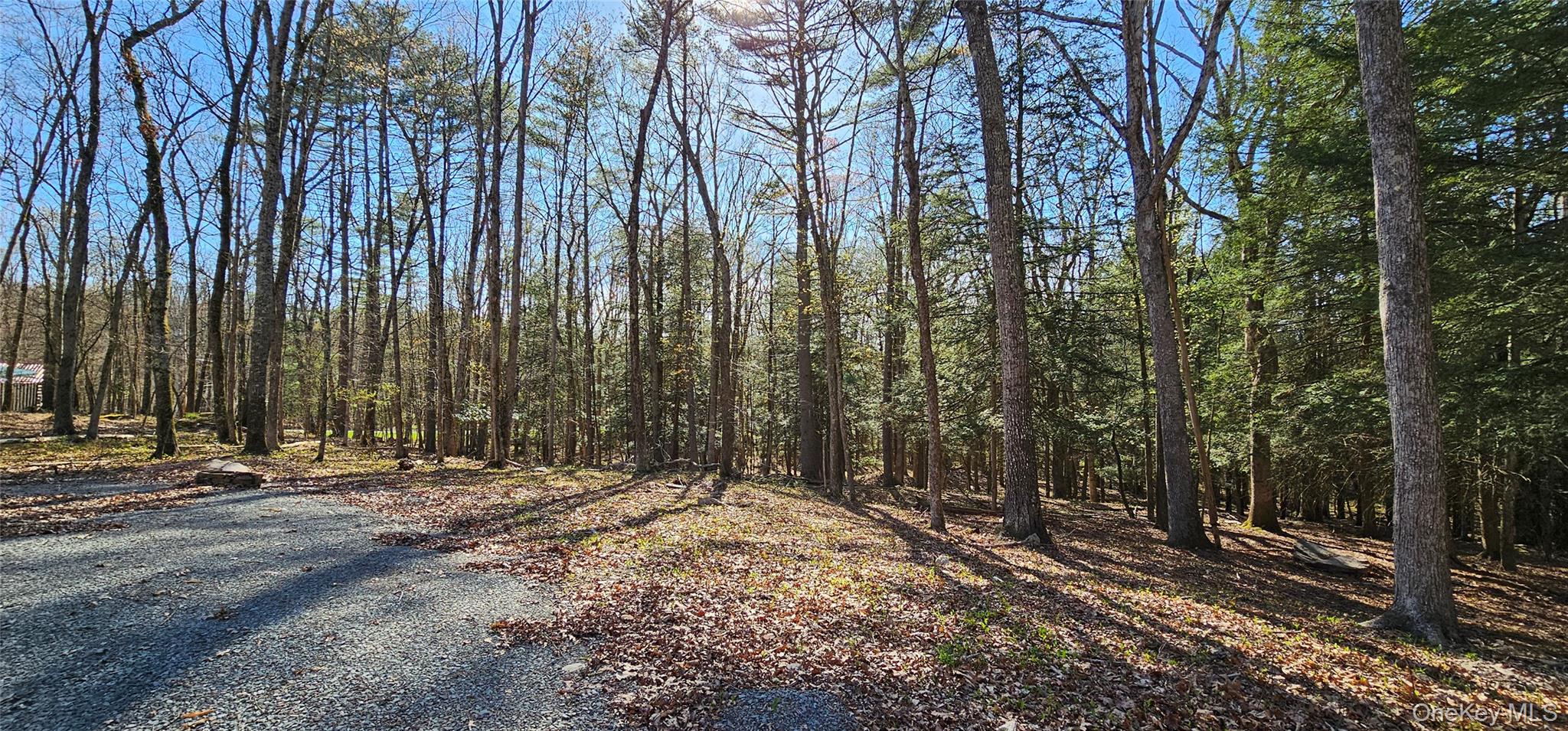 Lot 85 Perry Pond Road, Narrowsburg, NY 12764