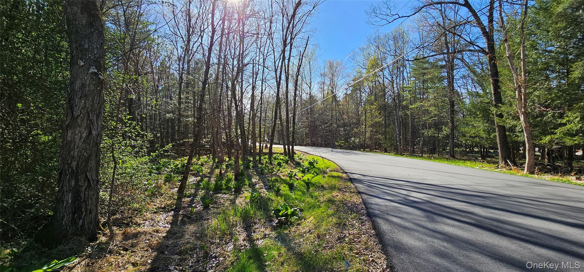 Lot 85 Perry Pond Road, Narrowsburg, NY 12764