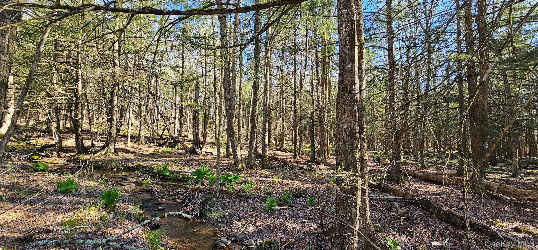 Lot 85 Perry Pond Road, Narrowsburg, NY 12764