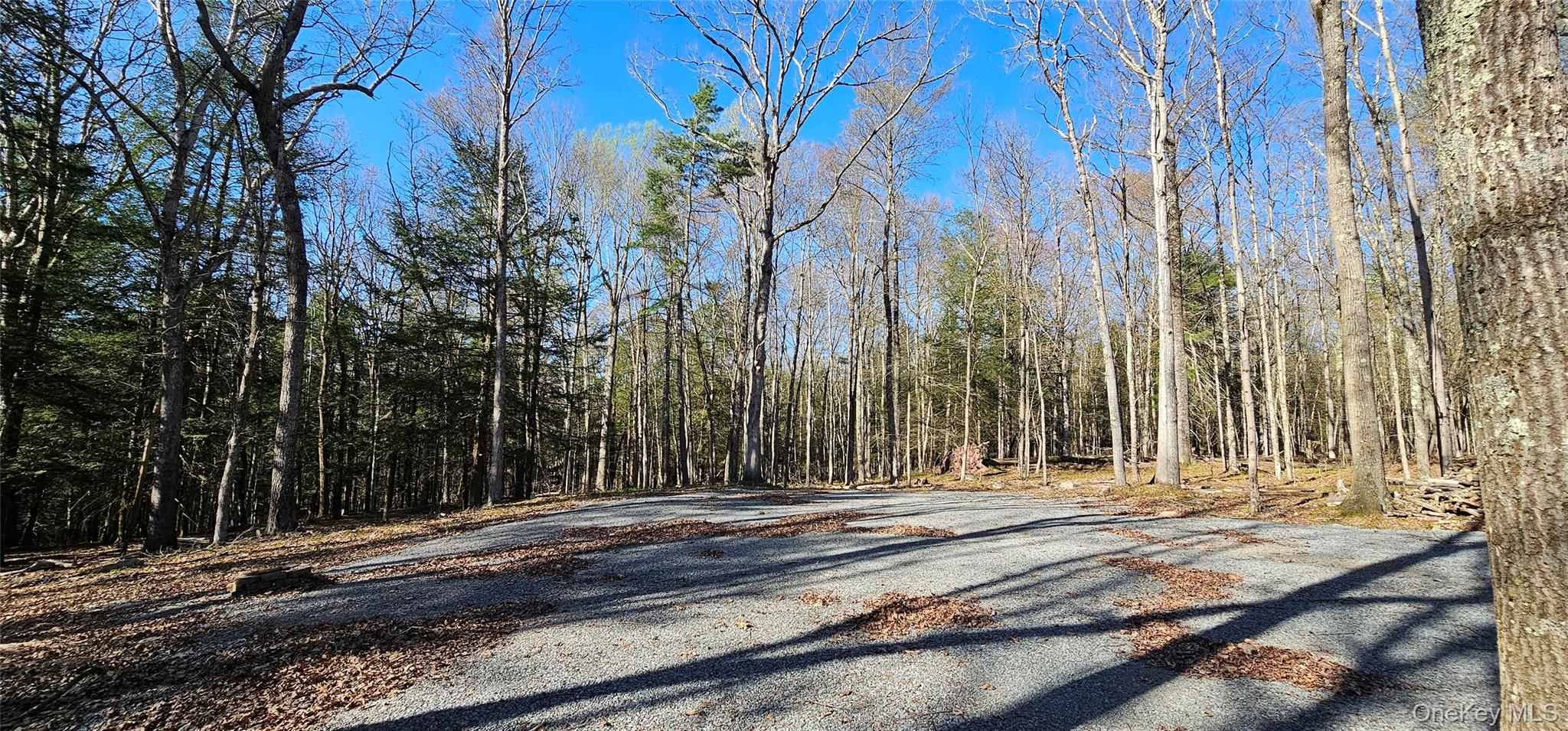 Lot 85 Perry Pond Road, Narrowsburg, NY 12764