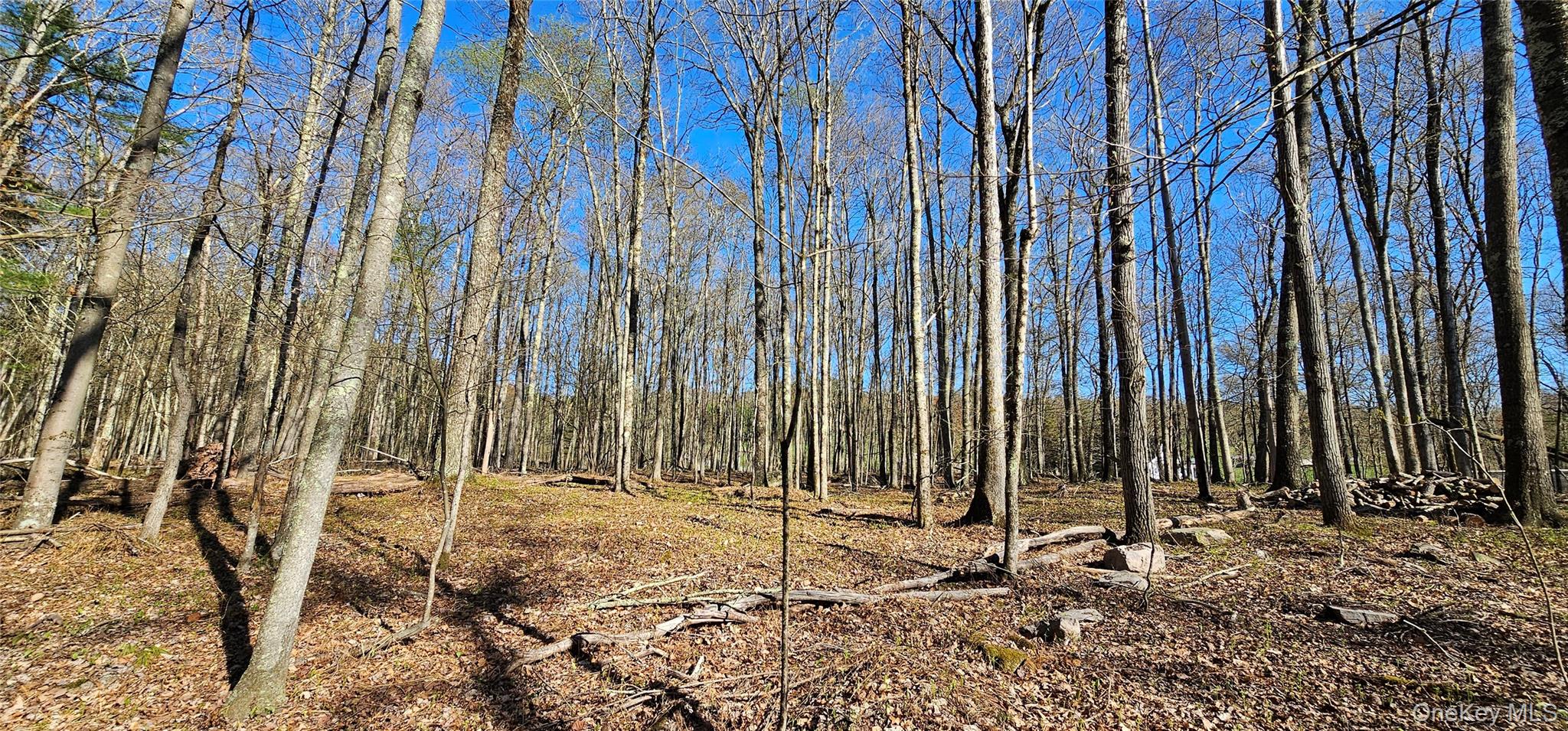 Lot 85 Perry Pond Road, Narrowsburg, NY 12764