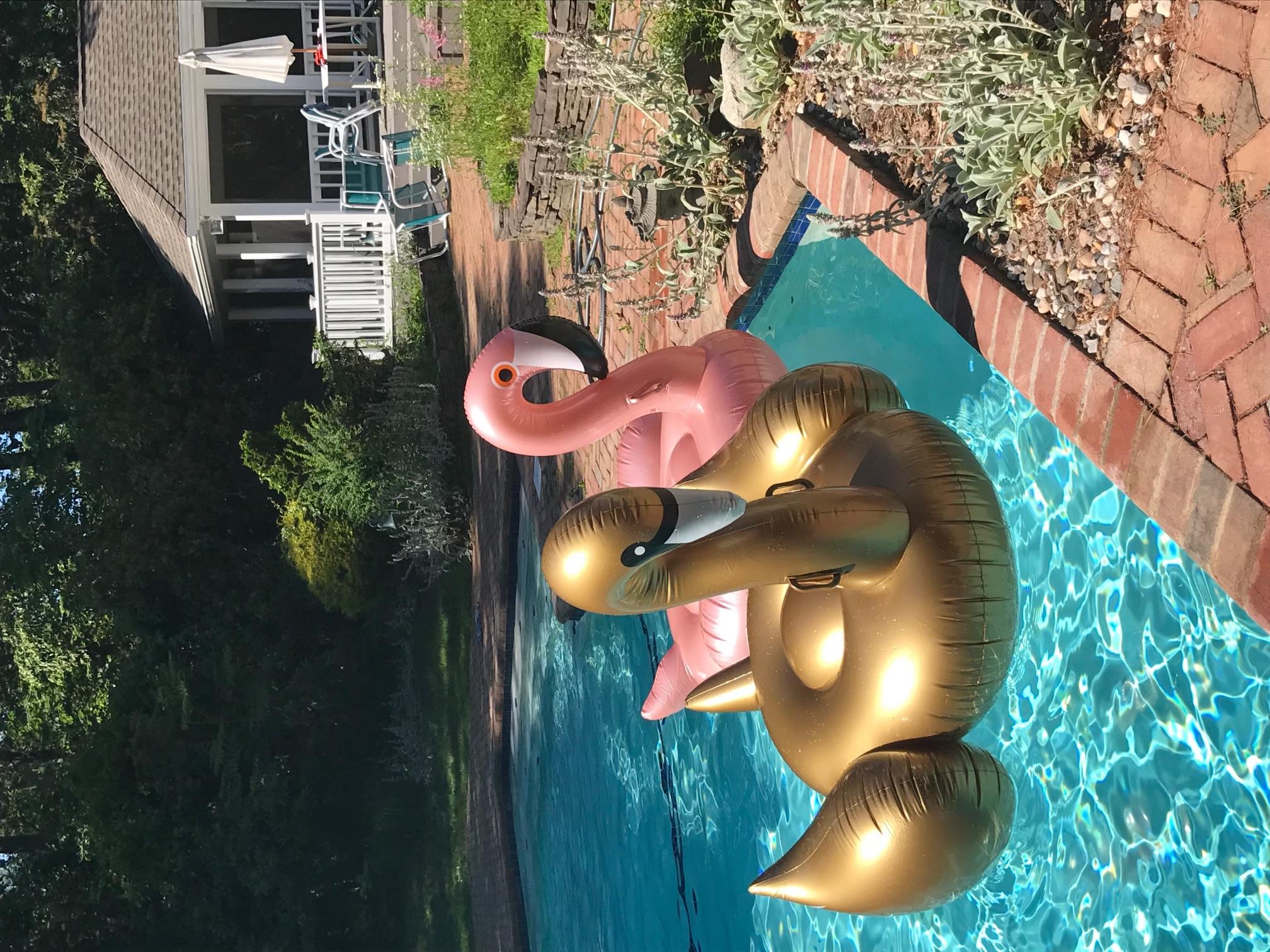 66 Cliff Road, Port Jefferson, NY 11777