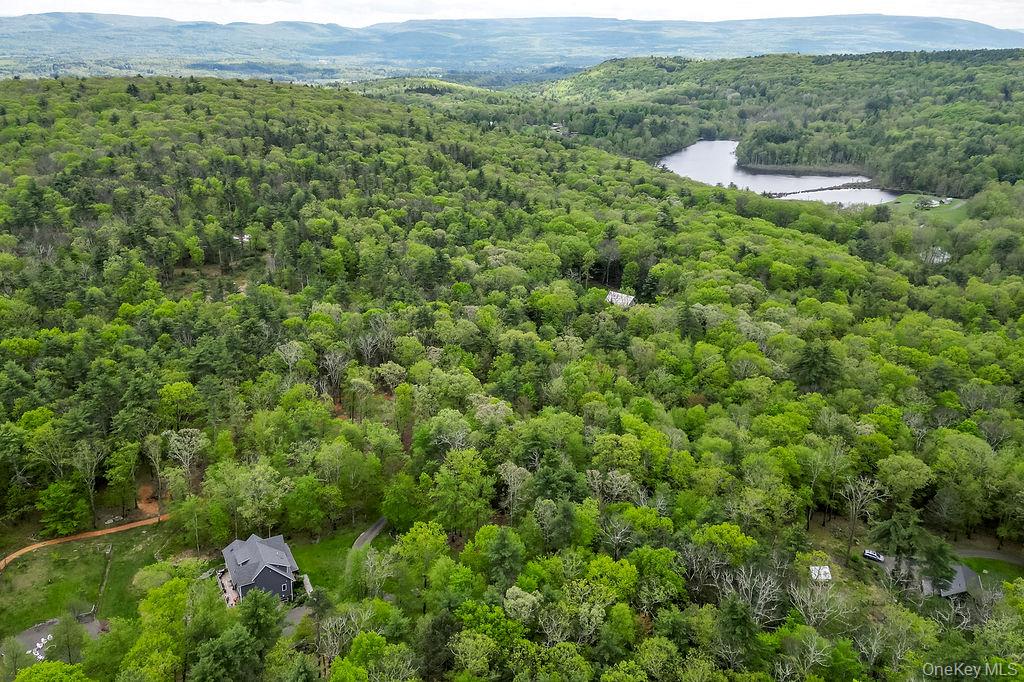 43 Bee Tree Lane, Accord, NY 12404