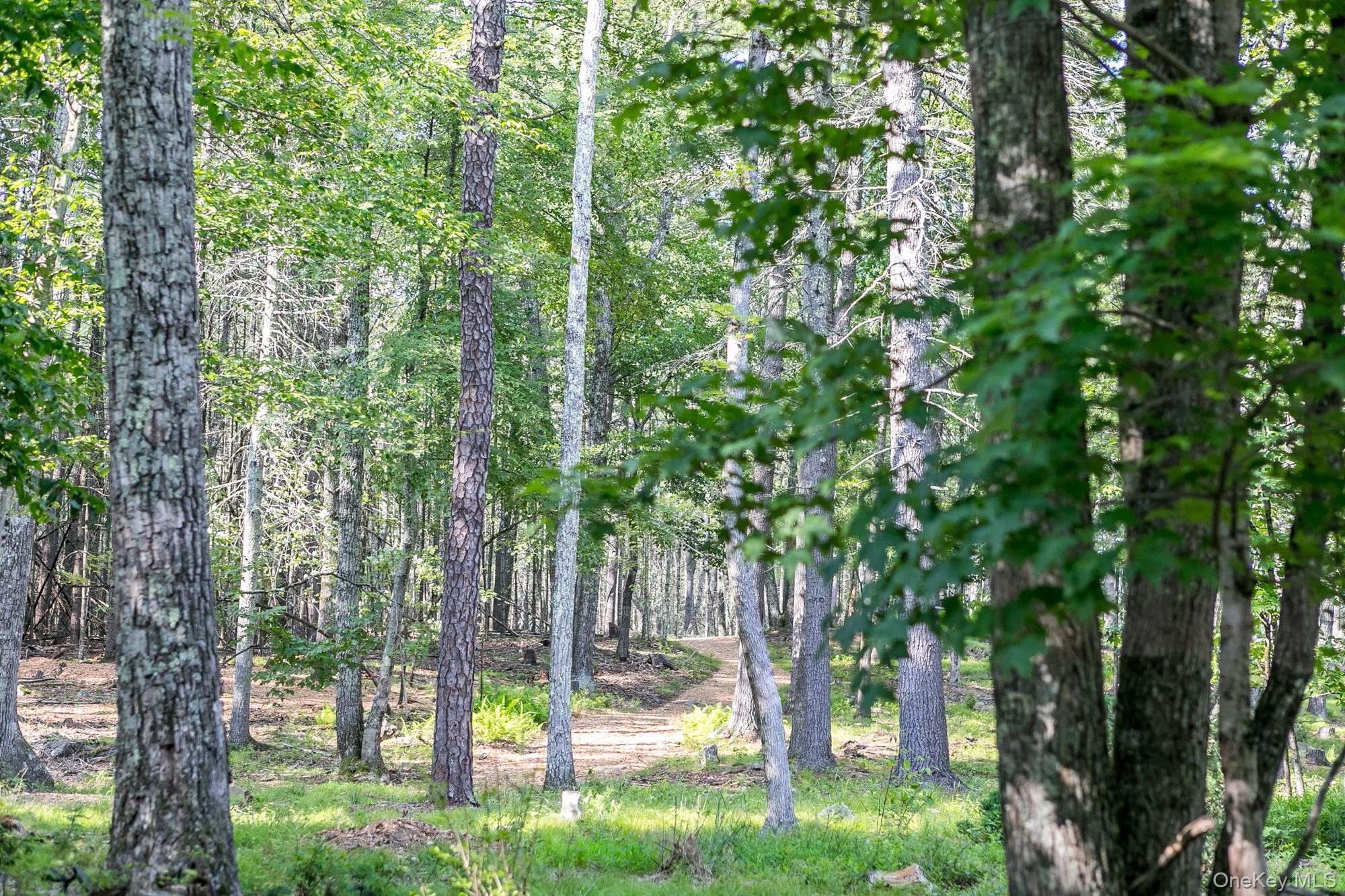 43 Bee Tree Lane, Accord, NY 12404