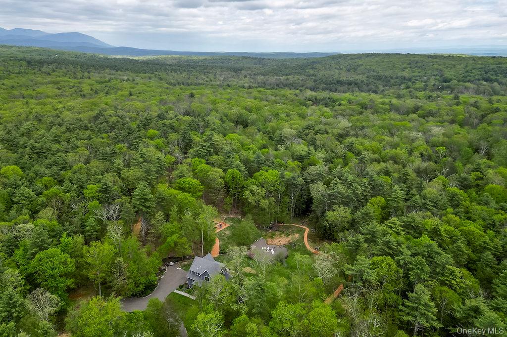 43 Bee Tree Lane, Accord, NY 12404