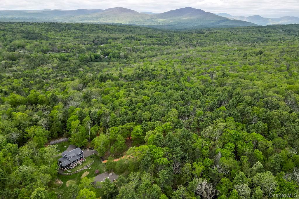 43 Bee Tree Lane, Accord, NY 12404