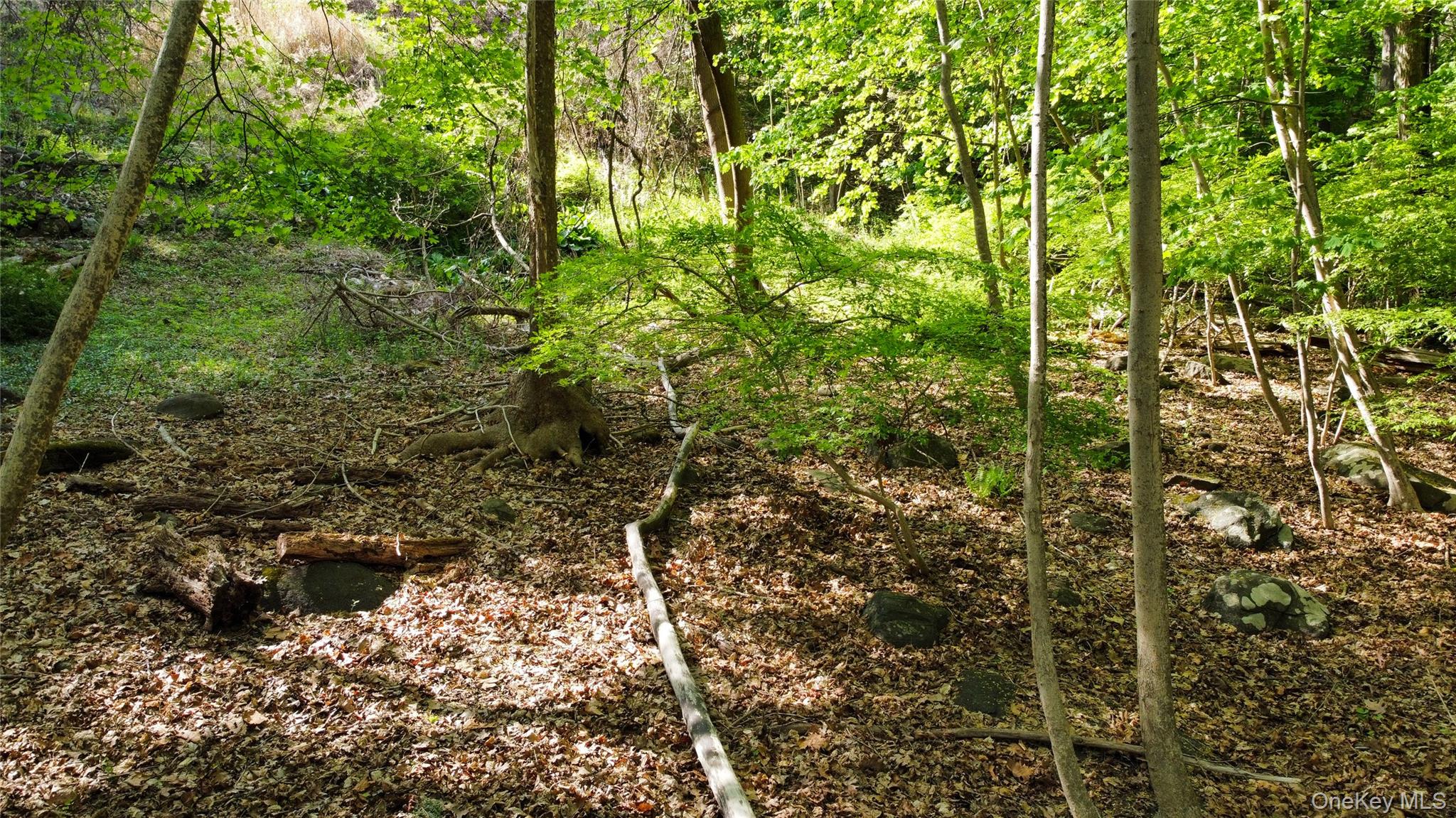 38 Nordica Drive, Croton-on-Hudson, NY 10520