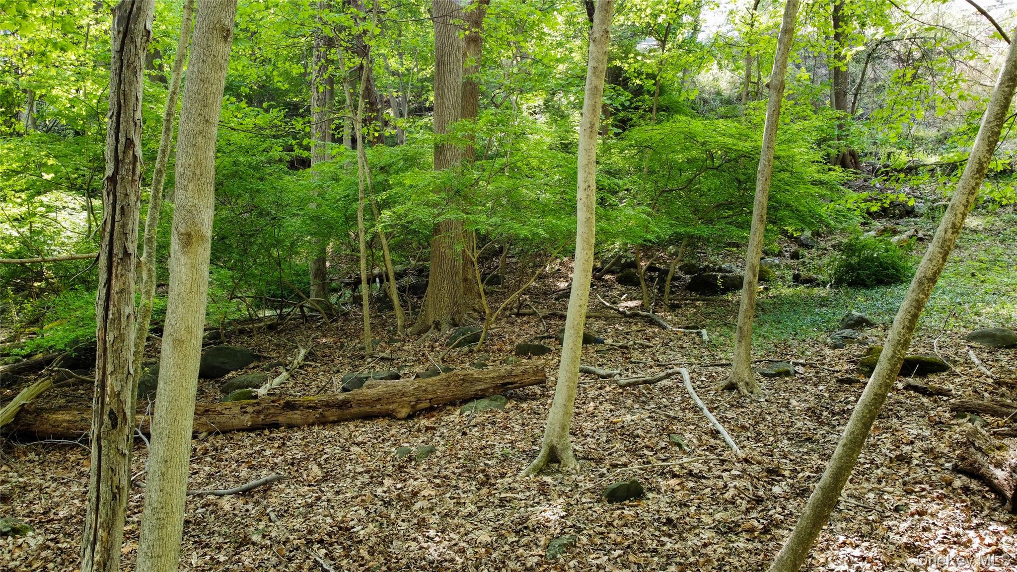 38 Nordica Drive, Croton-on-Hudson, NY 10520