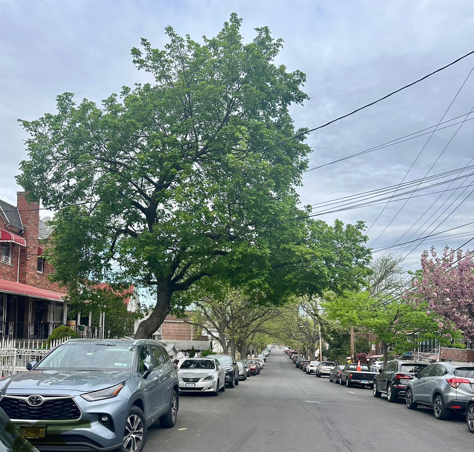 4029 Murdock Avenue, Bronx, NY 10466