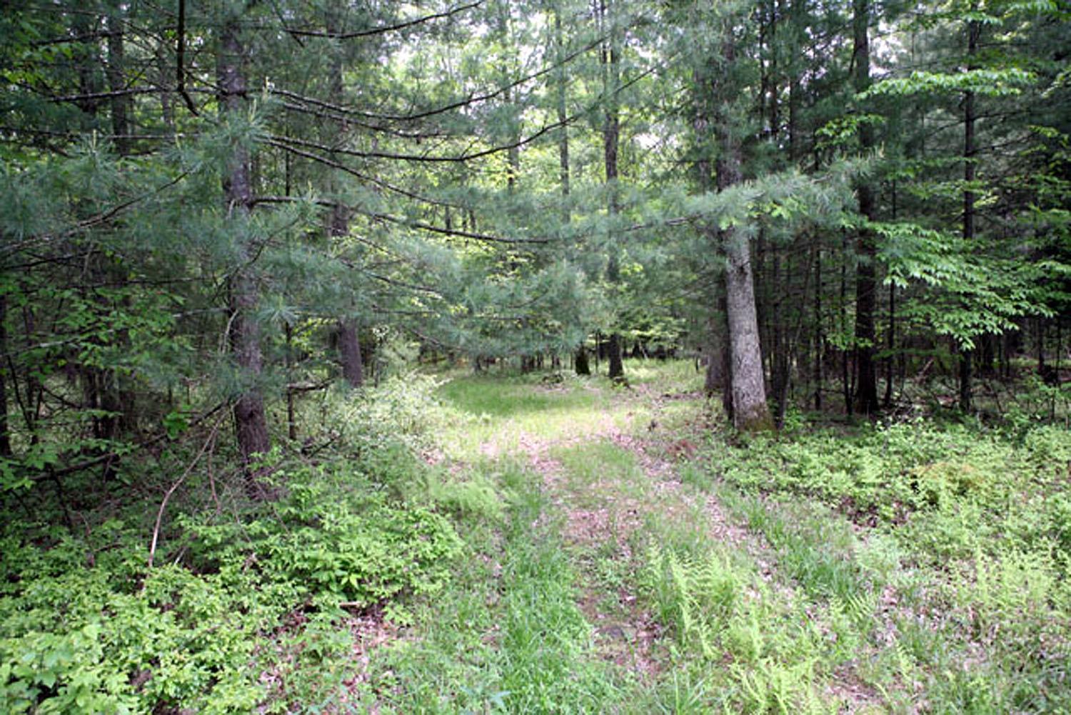 Lot 23 Serenity Drive, Callicoon, NY 12723