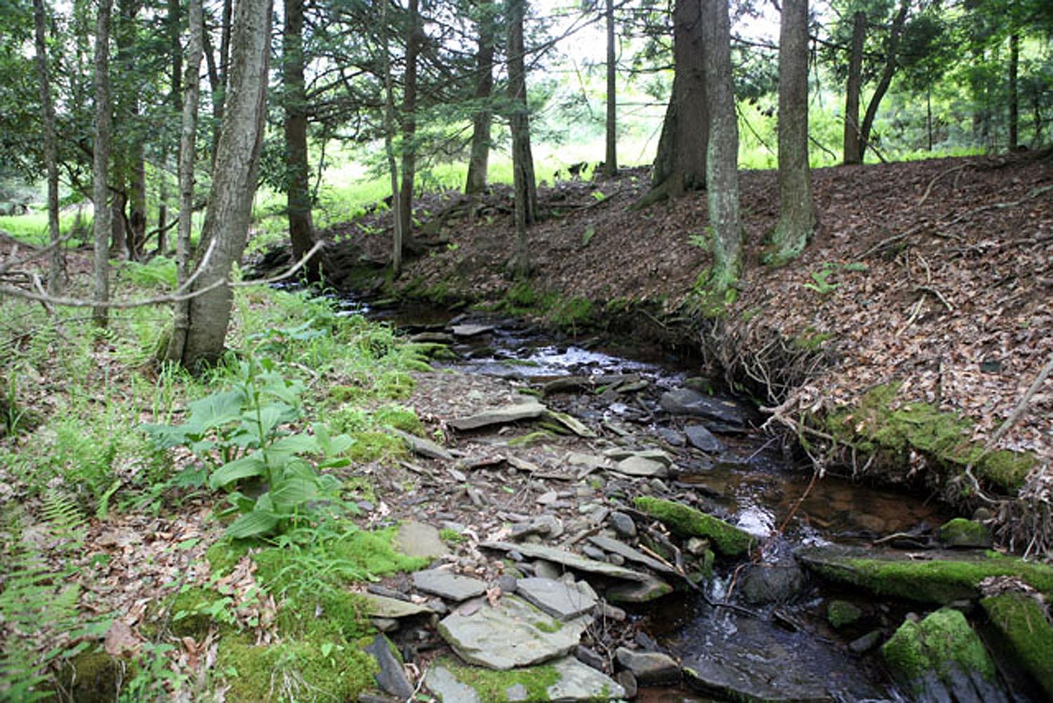 Lot 23 Serenity Drive, Callicoon, NY 12723