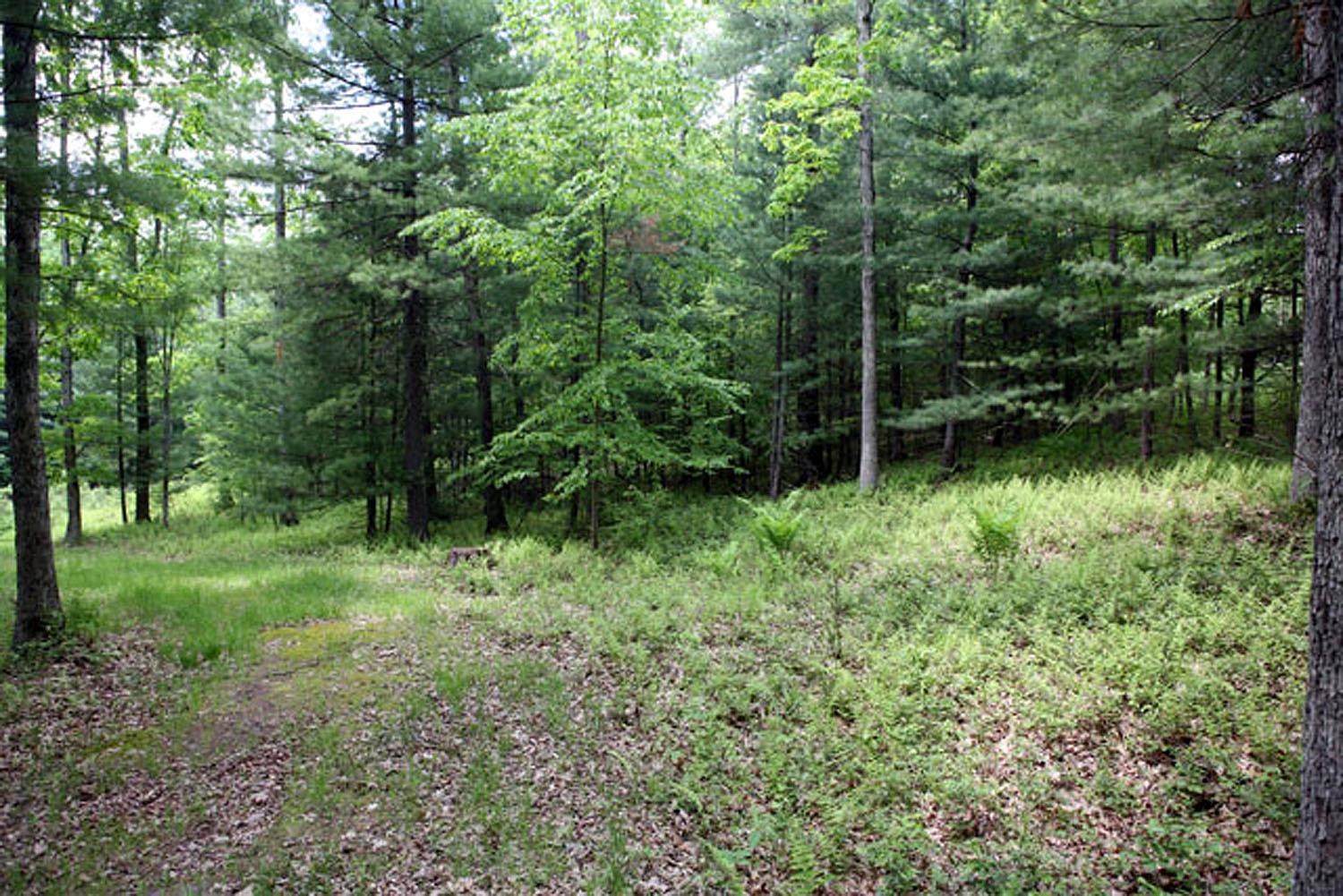 Lot 23 Serenity Drive, Callicoon, NY 12723