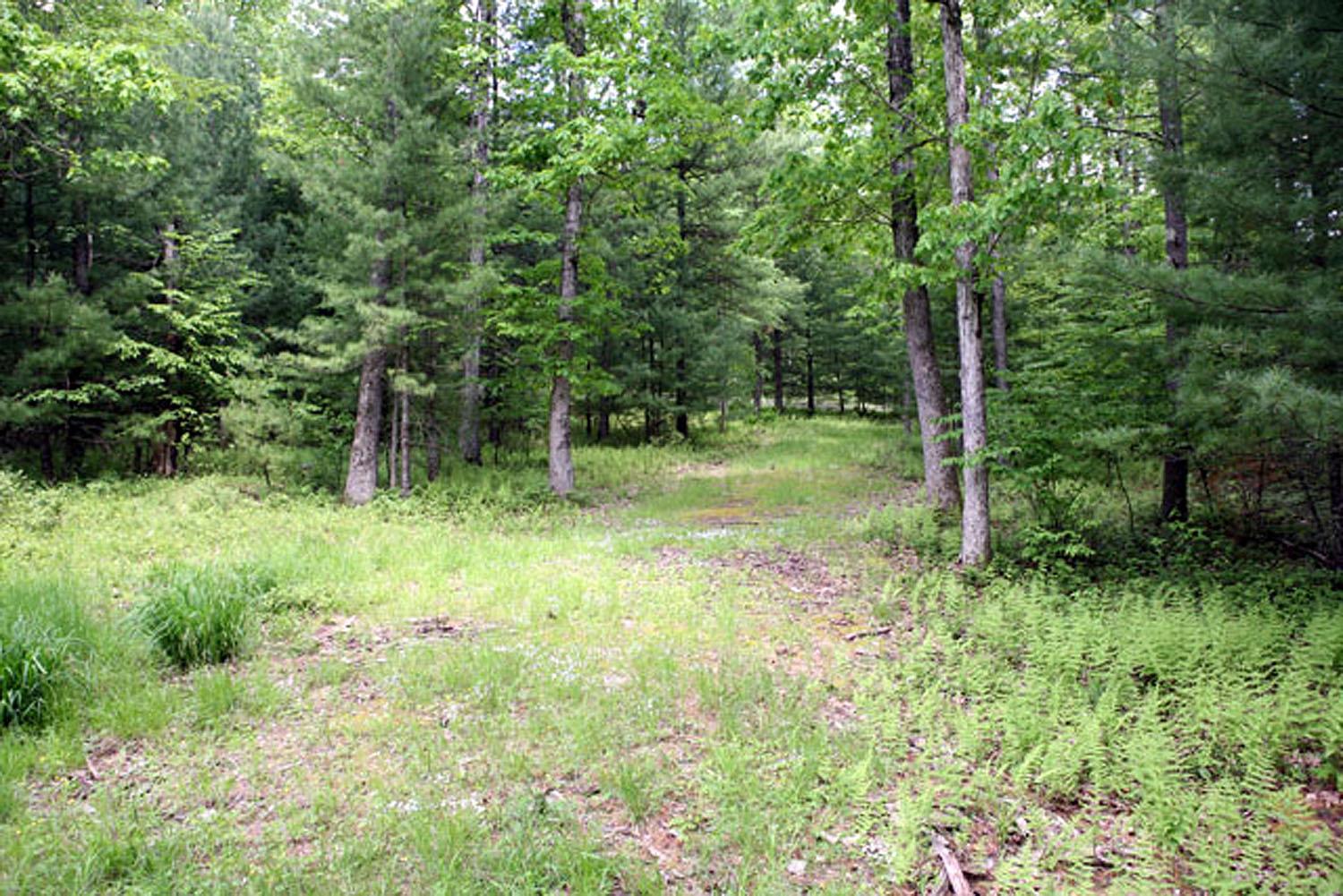 Lot 23 Serenity Drive, Callicoon, NY 12723