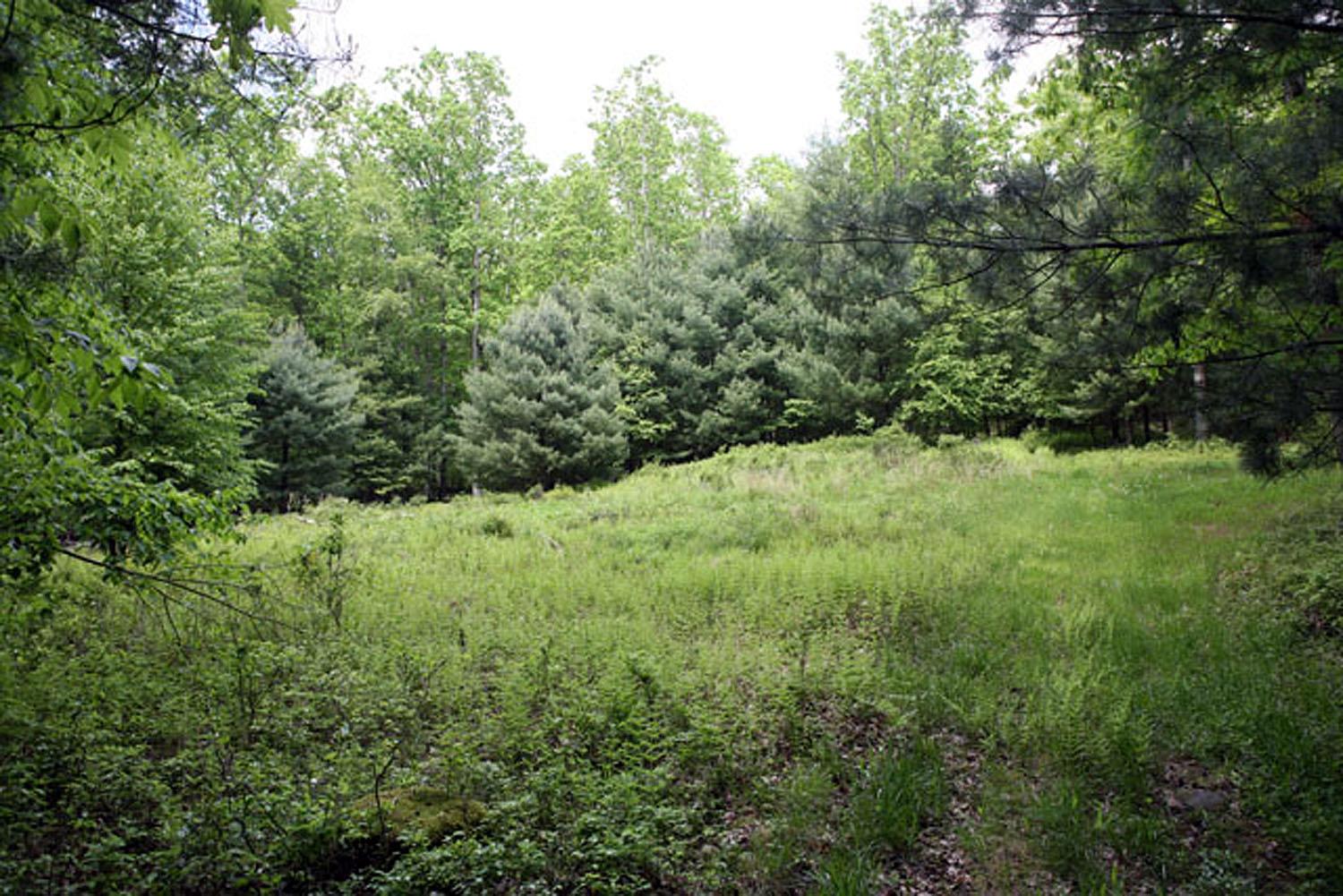 Lot 23 Serenity Drive, Callicoon, NY 12723