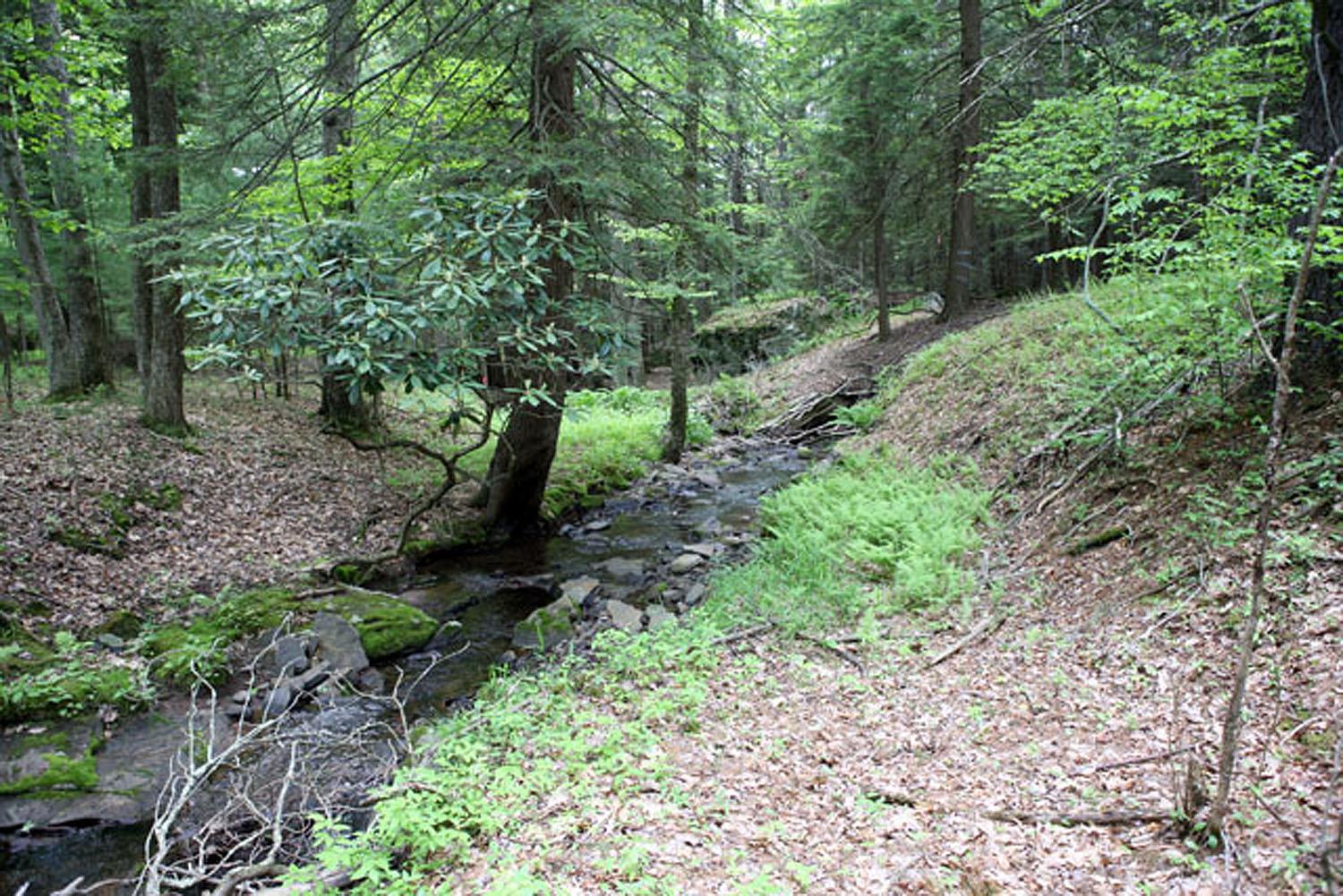 Lot 23 Serenity Drive, Callicoon, NY 12723