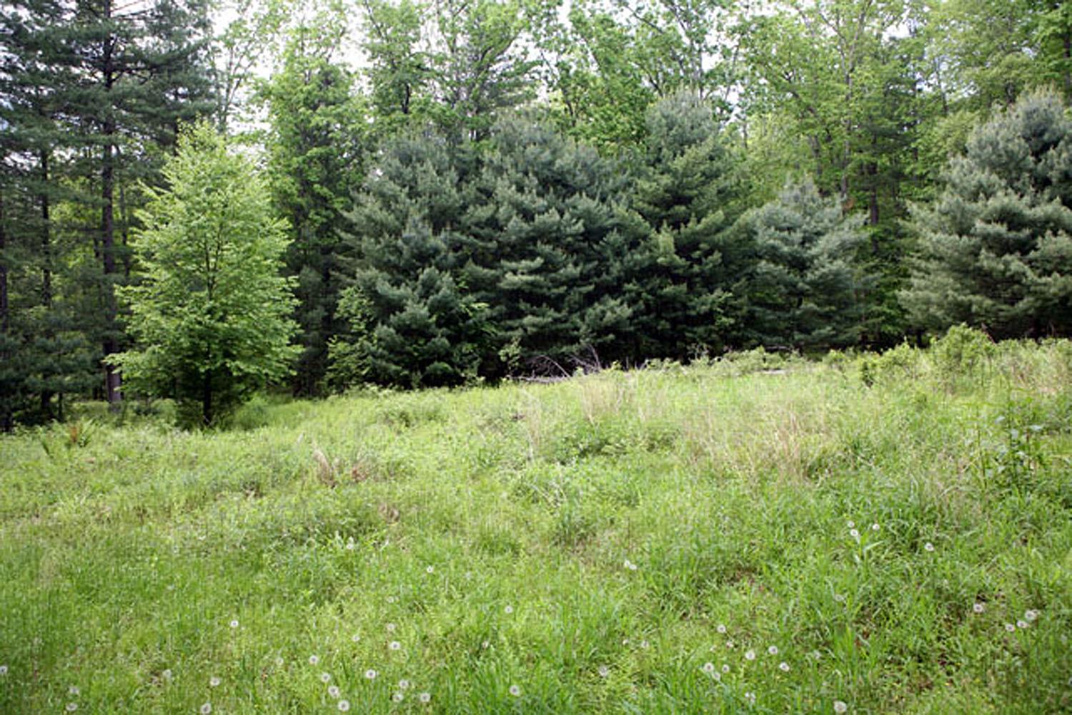 Lot 23 Serenity Drive, Callicoon, NY 12723