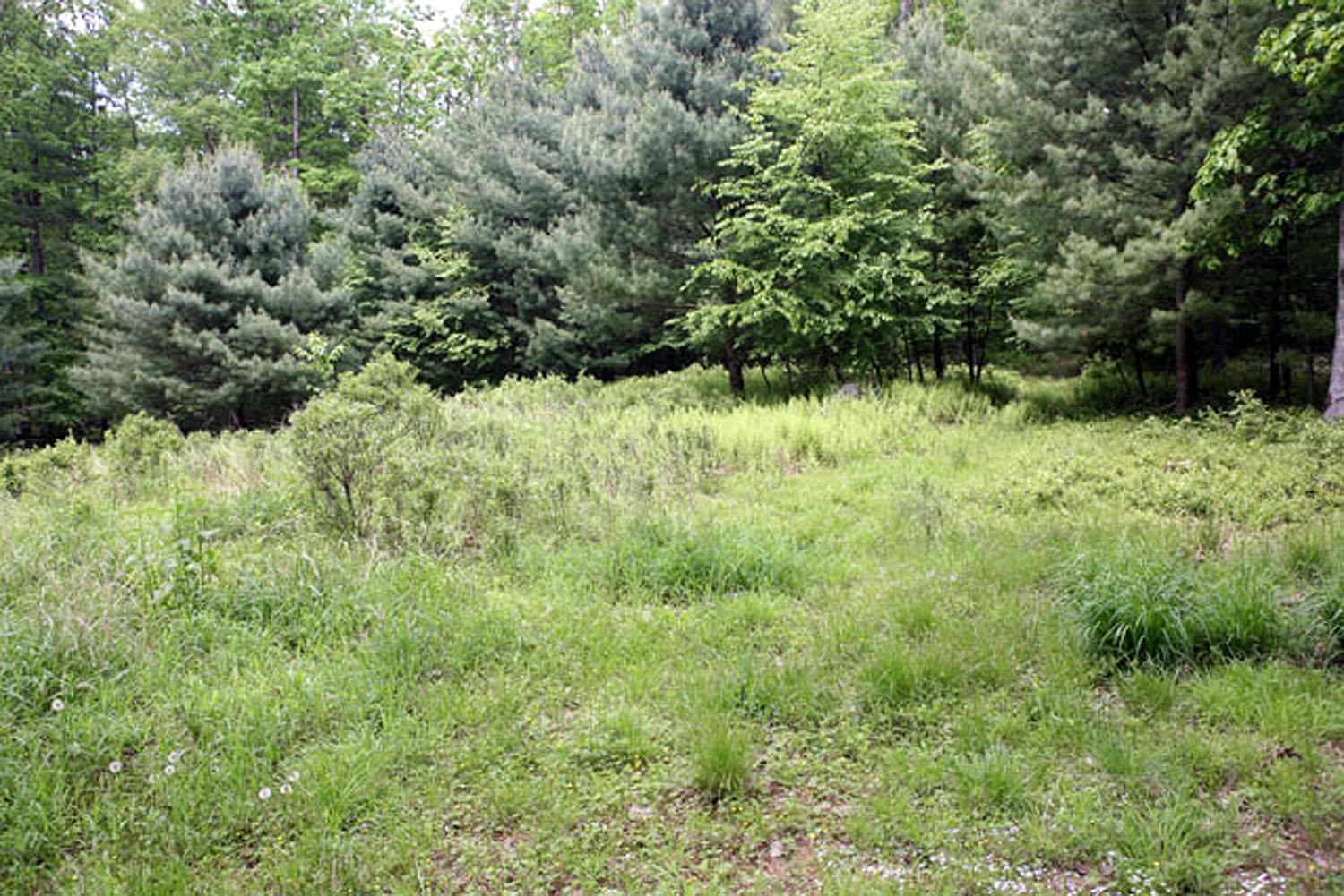 Lot 23 Serenity Drive, Callicoon, NY 12723