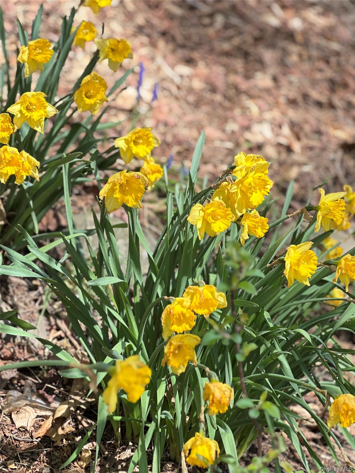 10 Upper Ferndale Road, Liberty, NY 12754