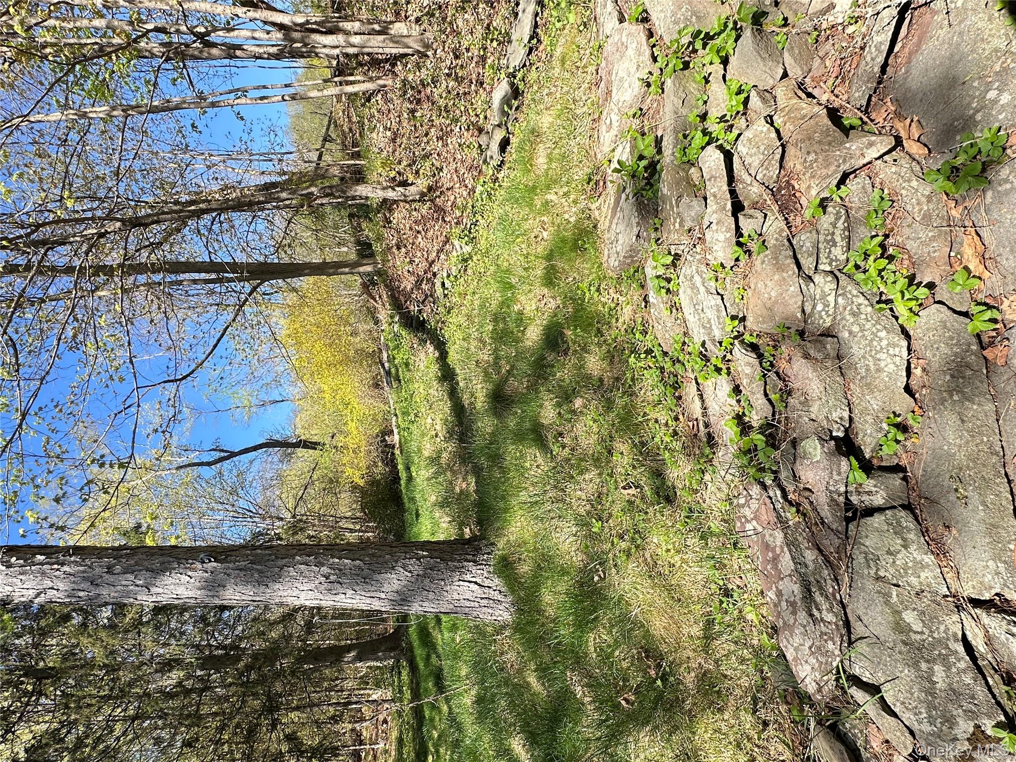 10 Upper Ferndale Road, Liberty, NY 12754