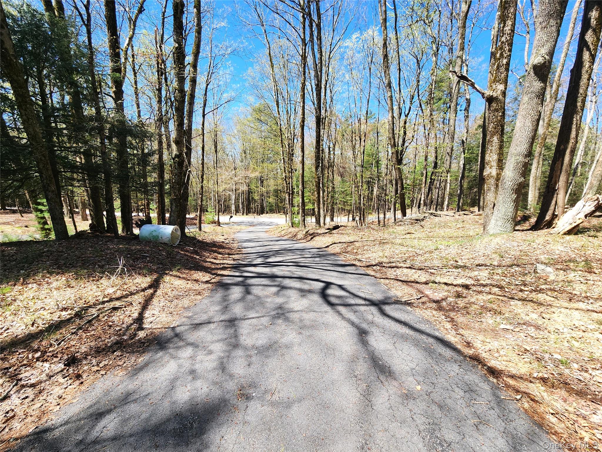 142 Old Tacy Road, Bethel, NY 12783