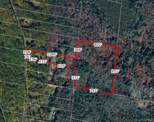 142 Old Tacy Road, Bethel, NY 12783