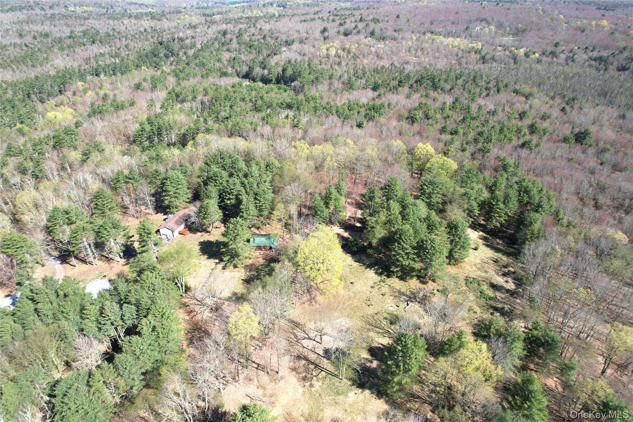 142 Old Tacy Road, Bethel, NY 12783