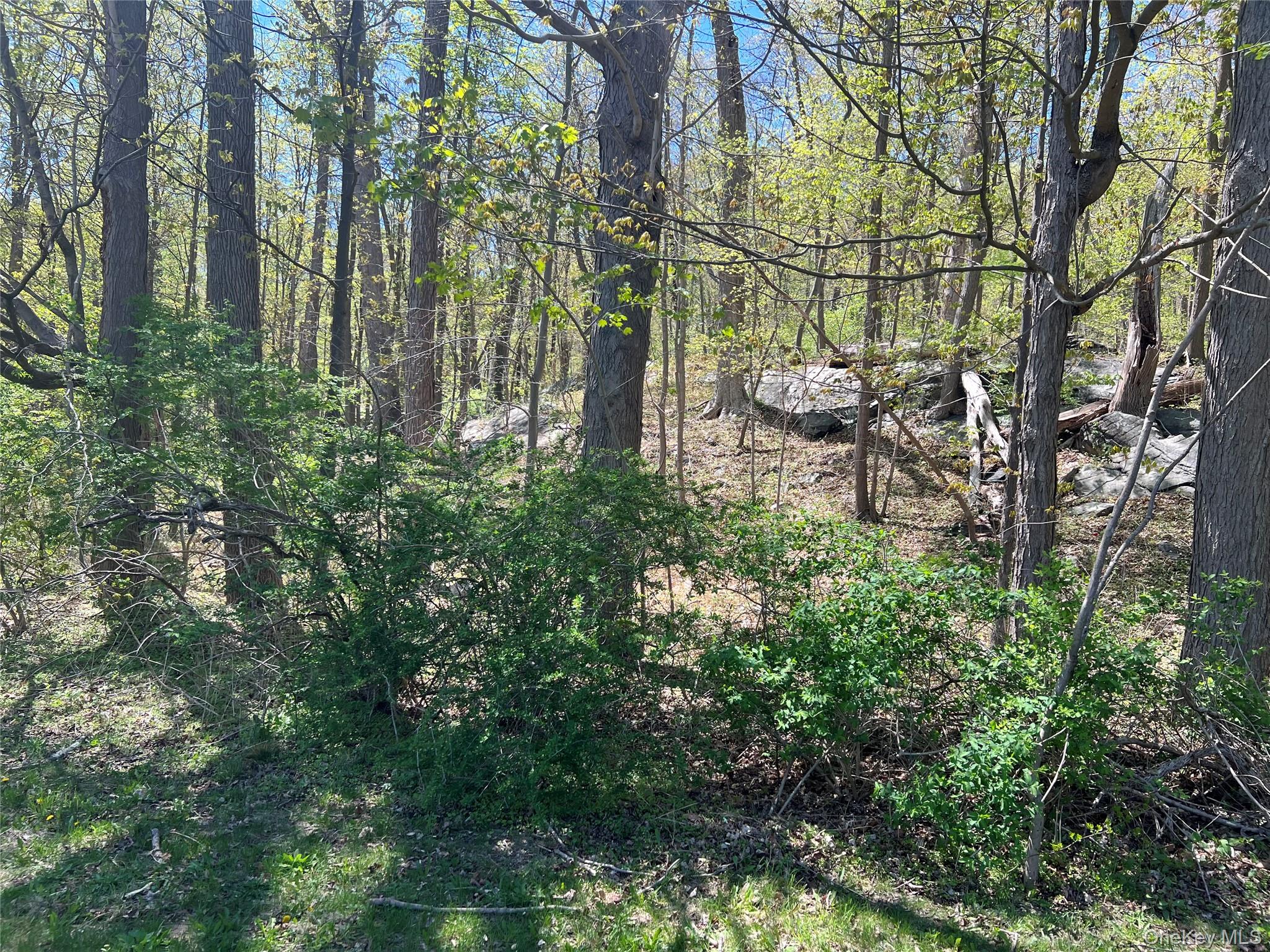 Stevens Lane, Tuxedo Park, NY 10987