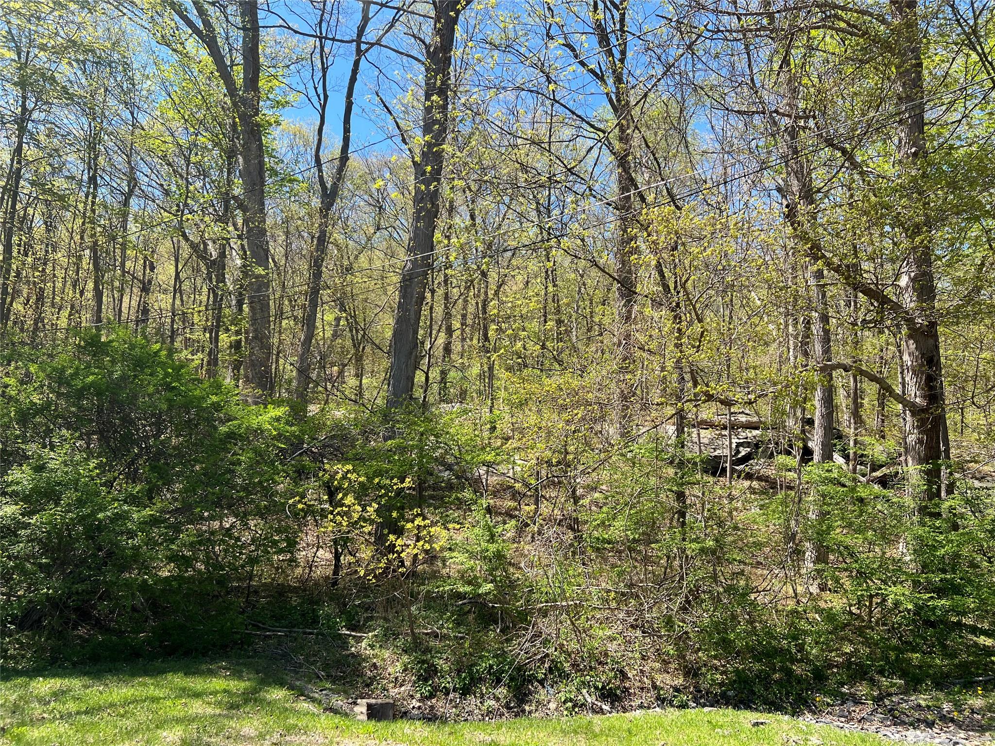 Stevens Lane, Tuxedo Park, NY 10987