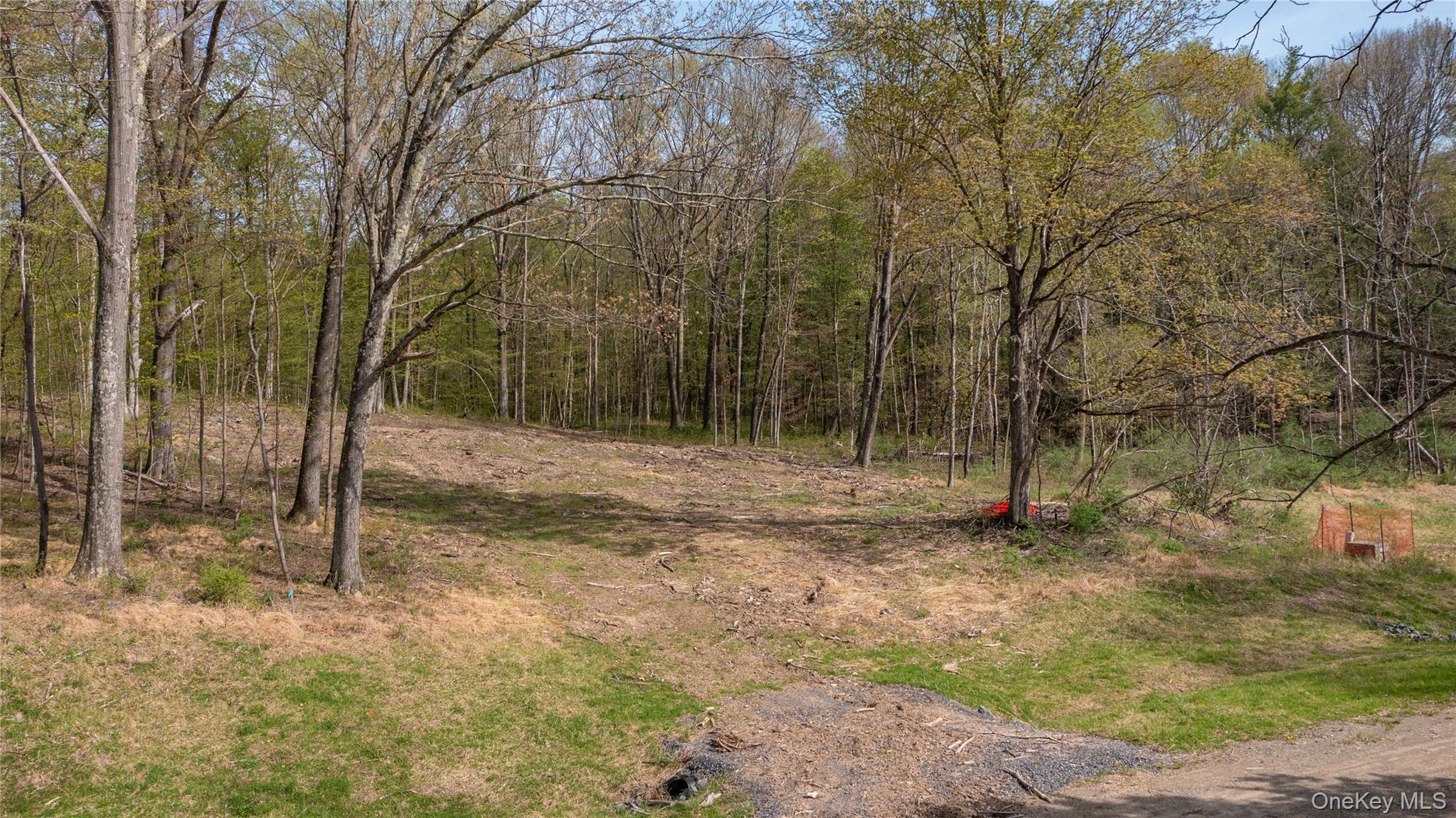 Feller Newmark Road, Red Hook, NY 12571