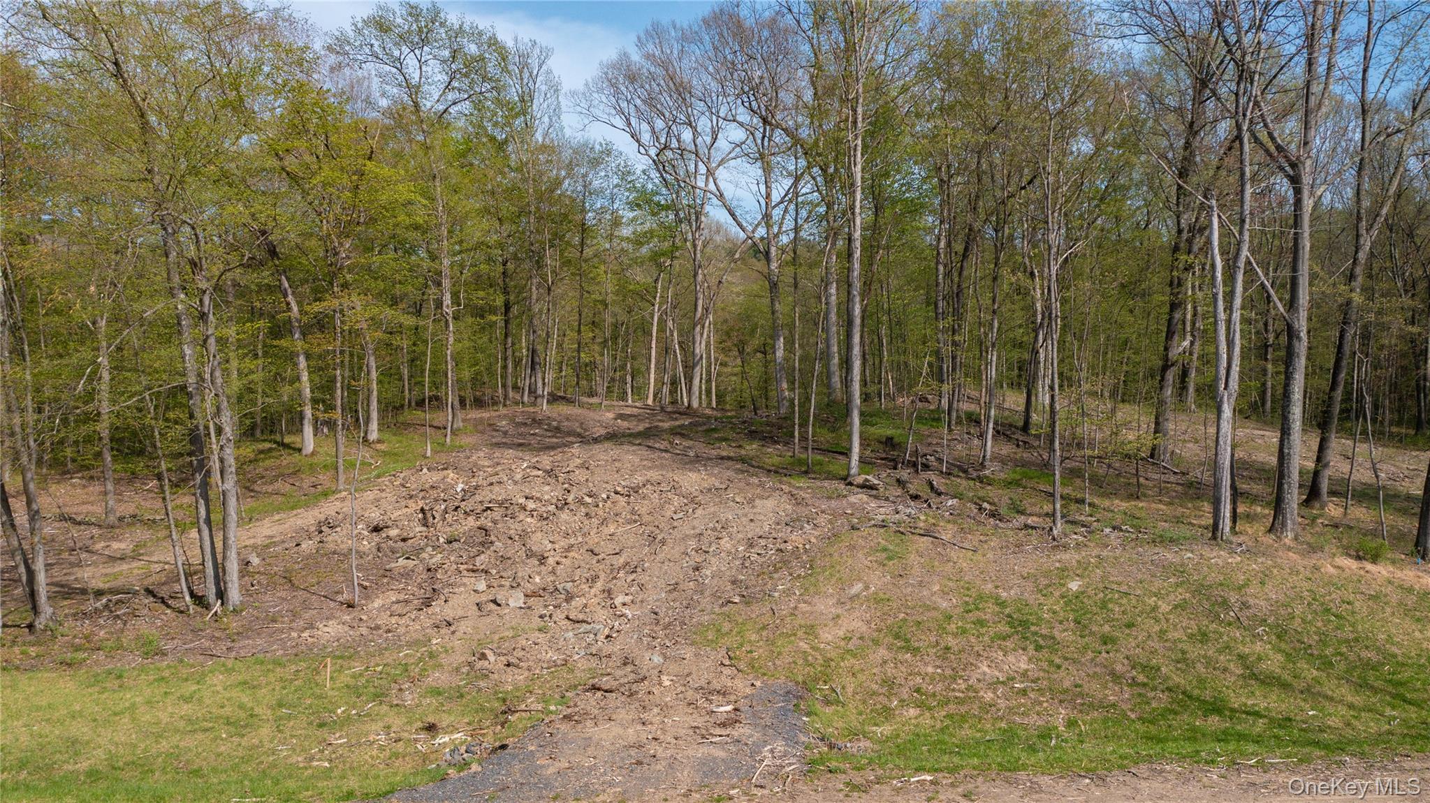 Feller Newmark Road, Red Hook, NY 12571