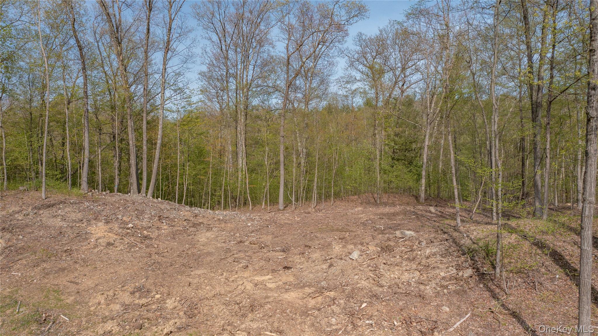 Feller Newmark Road, Red Hook, NY 12571