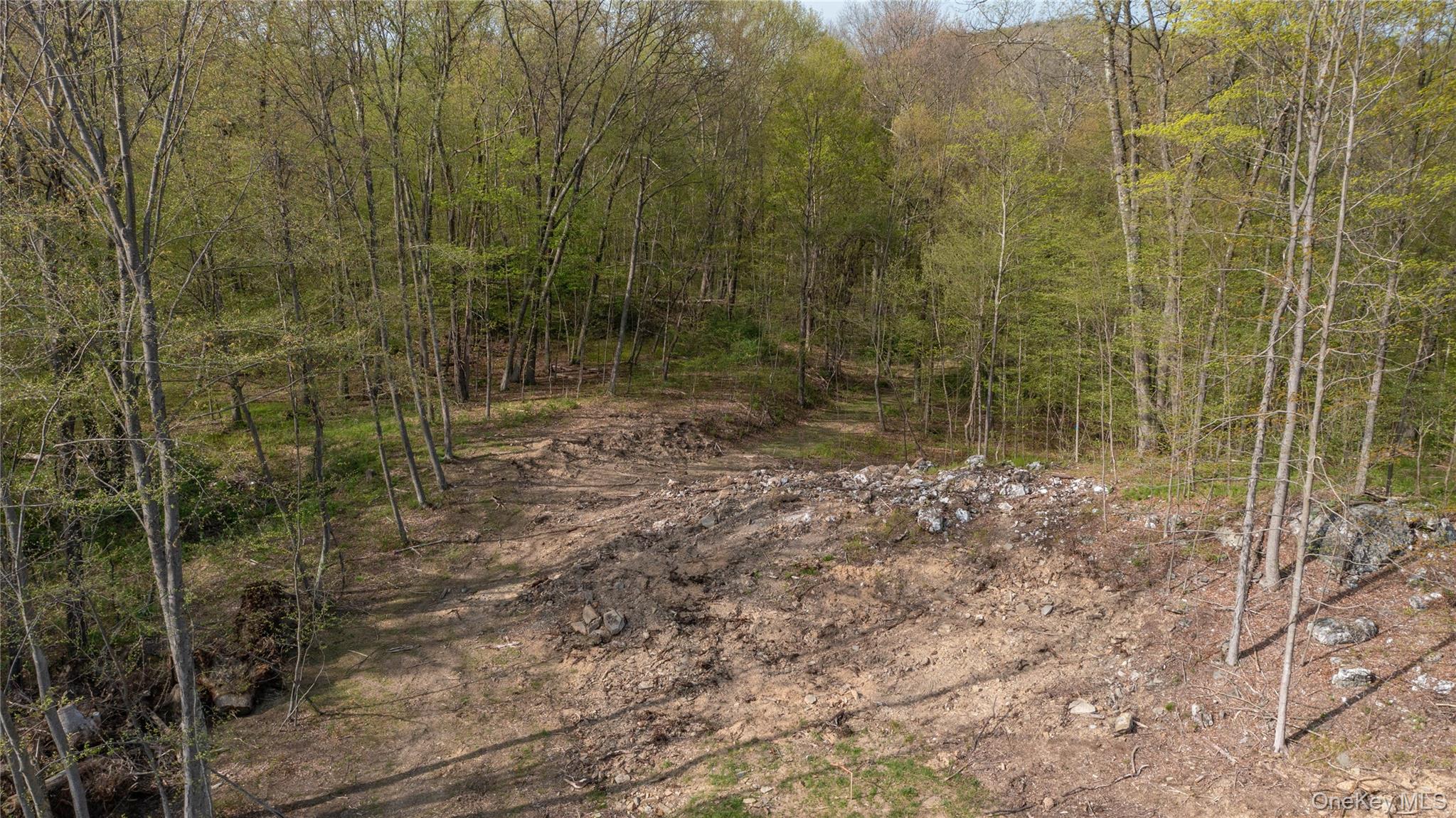 Feller Newmark Road, Red Hook, NY 12571