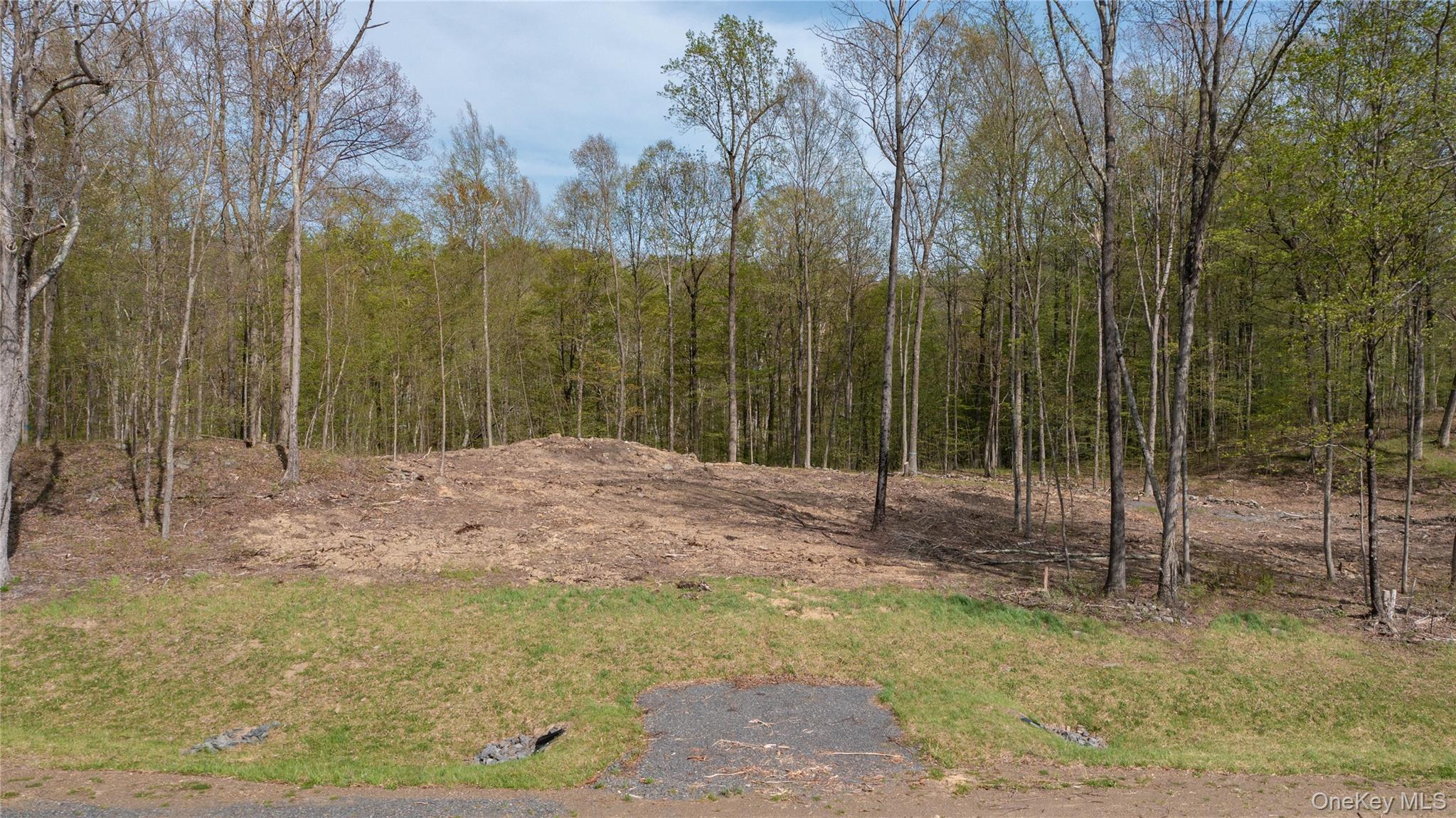 Feller Newmark Road, Red Hook, NY 12571