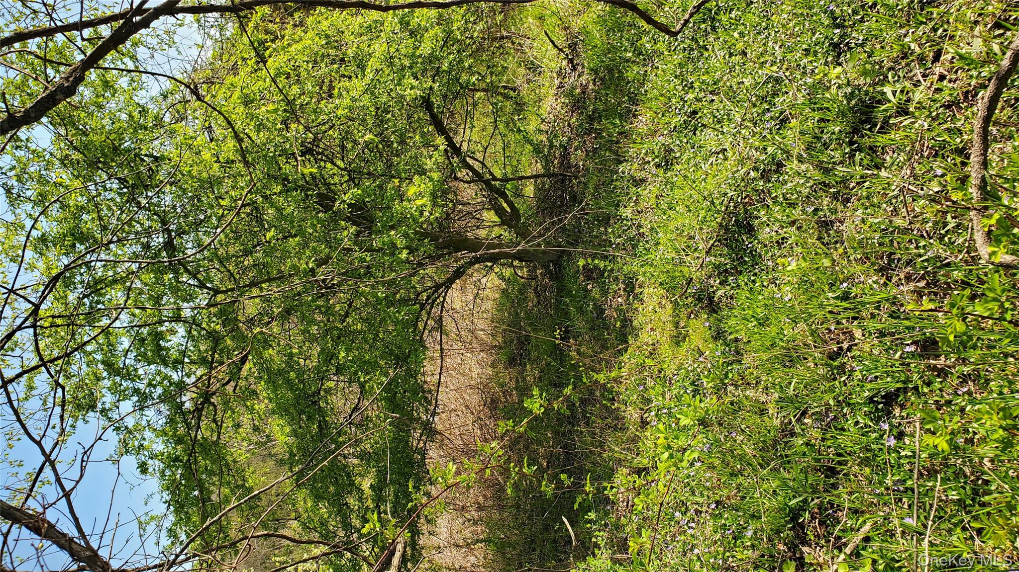 TBD Boice Mill Road, Kerhonkson, NY 12446