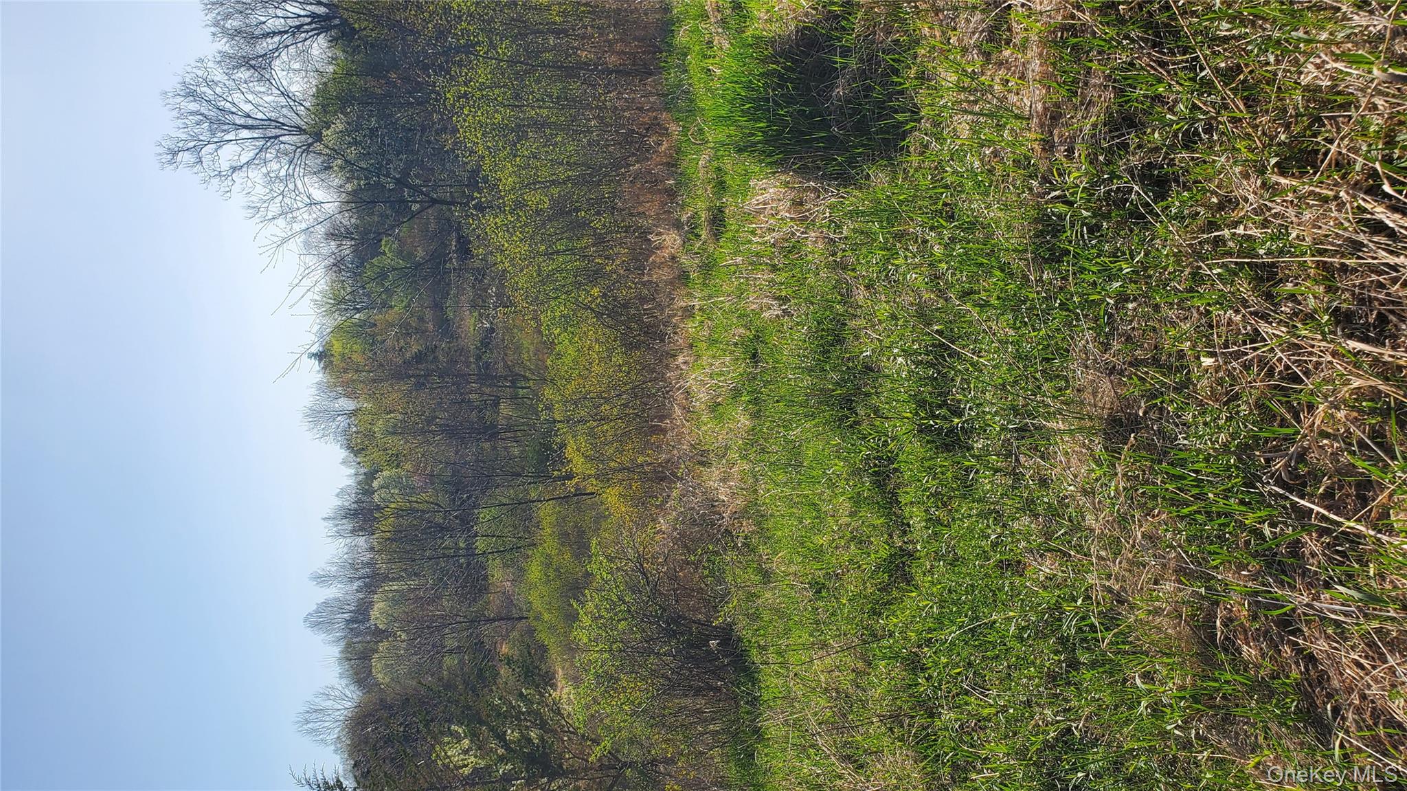 TBD Boice Mill Road, Kerhonkson, NY 12446